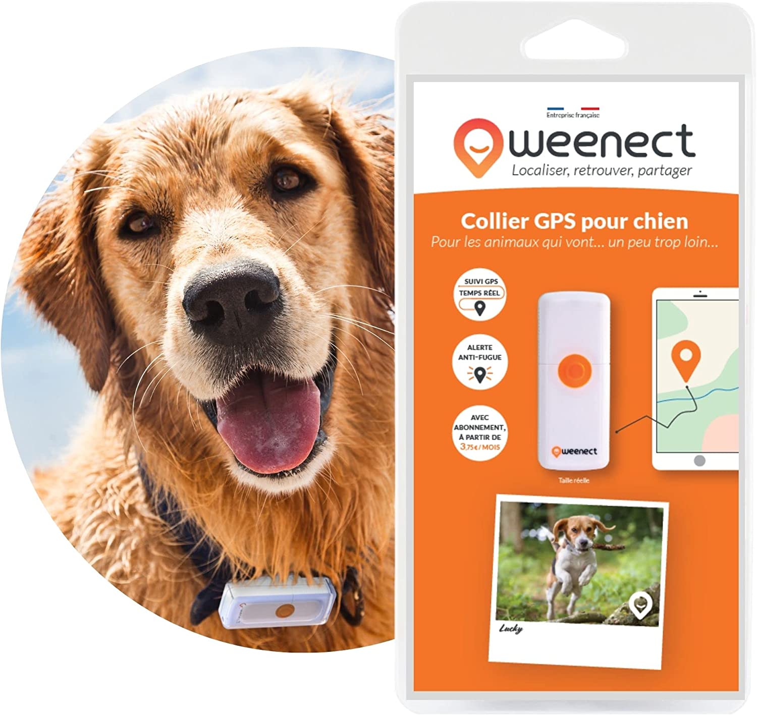 Collier pour chien - Convient pour Apple Airtag - GPS pour Chiens