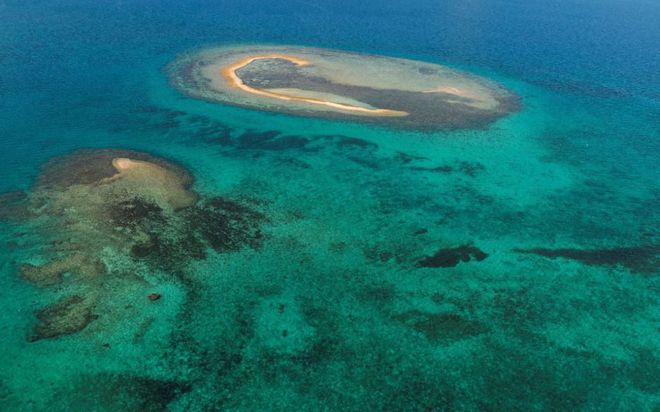 Attaque de requin mortelle à Nouméa : des restes humains retrouvés