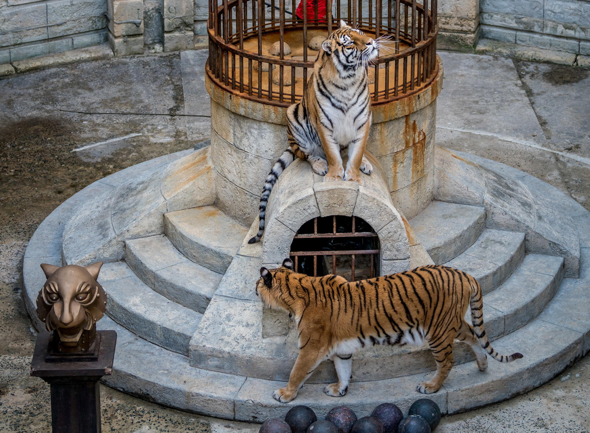Les tigres de Fort Boyard font partie de l'ADN de l'émission depuis trente-deux ans. ALP, la société productrice de l'émission de France 2, a annoncé ce jeudi qu'elle se séparait des deux animaux. A.Issock/ALP