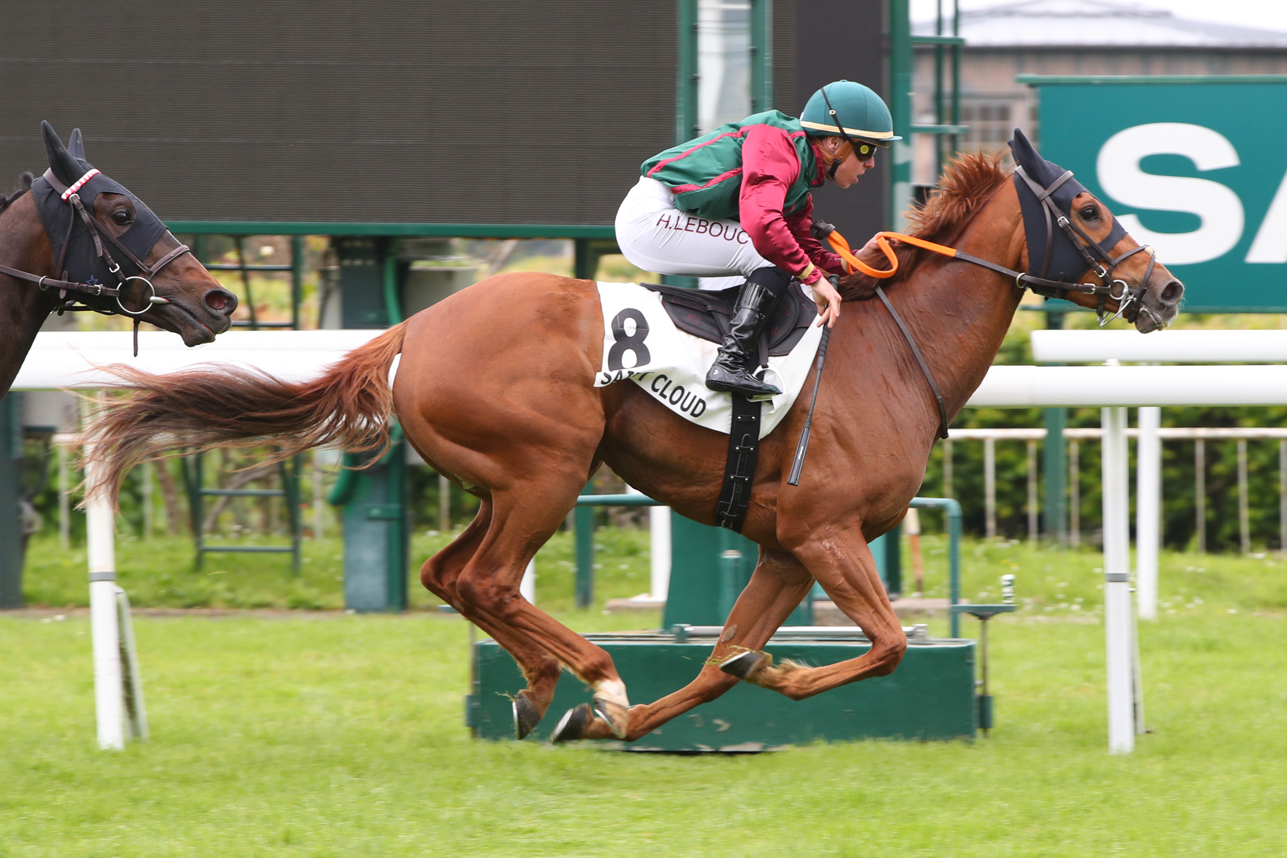 Saint-Cloud (Val-d'Oise), le 20 Mai 2024. Etel du Ninian survole la course et permet à Charles Guypn, permis d'entraîner, de remporter le premier quinté de sa carrière. SCOOPDYGA - DESBRIEL Valentin