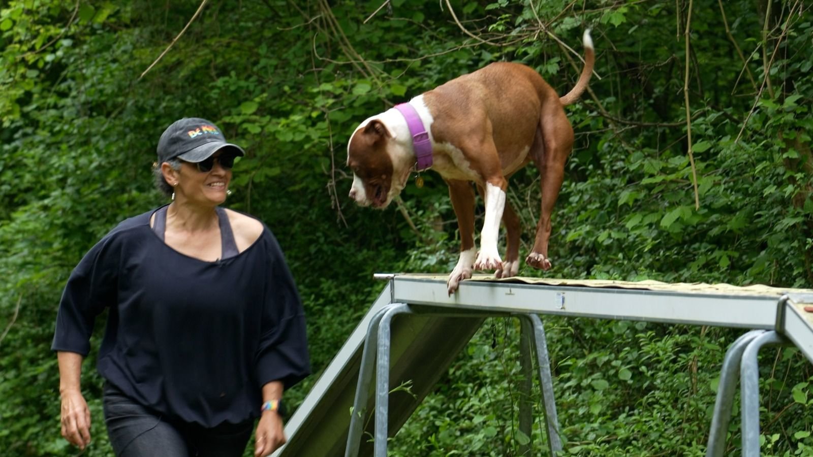 Val-d'Oise, le 13 mai. Créatrice de Crazy dogs, Nadège a fait adopter 60 chiens depuis 2017. LP/Inès de Rousiers
