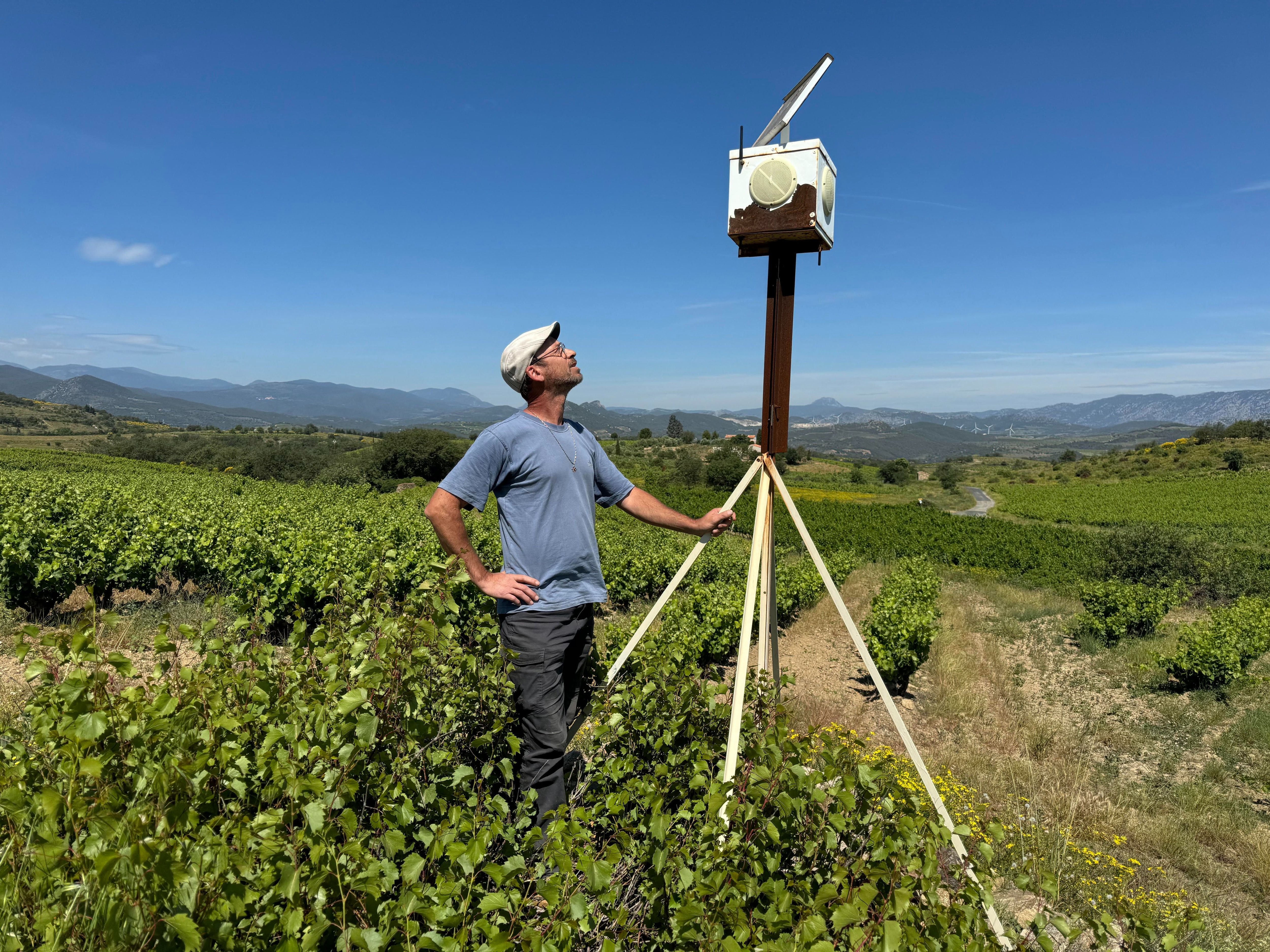 A Cassagnes (Pyrénées-Orientales), le viticulteur bio Philippe Alasluquetas diffusent des protéodies, des mélodies capables de réduire le stress hydrique des pieds de vignes. LP/Christian Goutorbe