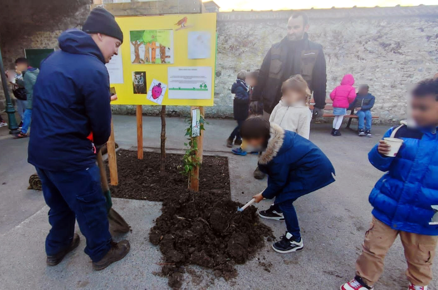 À l'école Pierre-Sauvage de Compiègne, de nombreux arbres ont été plantés avec l'aide des élèves afin de donner, sur le long terme, de l'ombre aux enfants. LP/Stéphanie Forestier