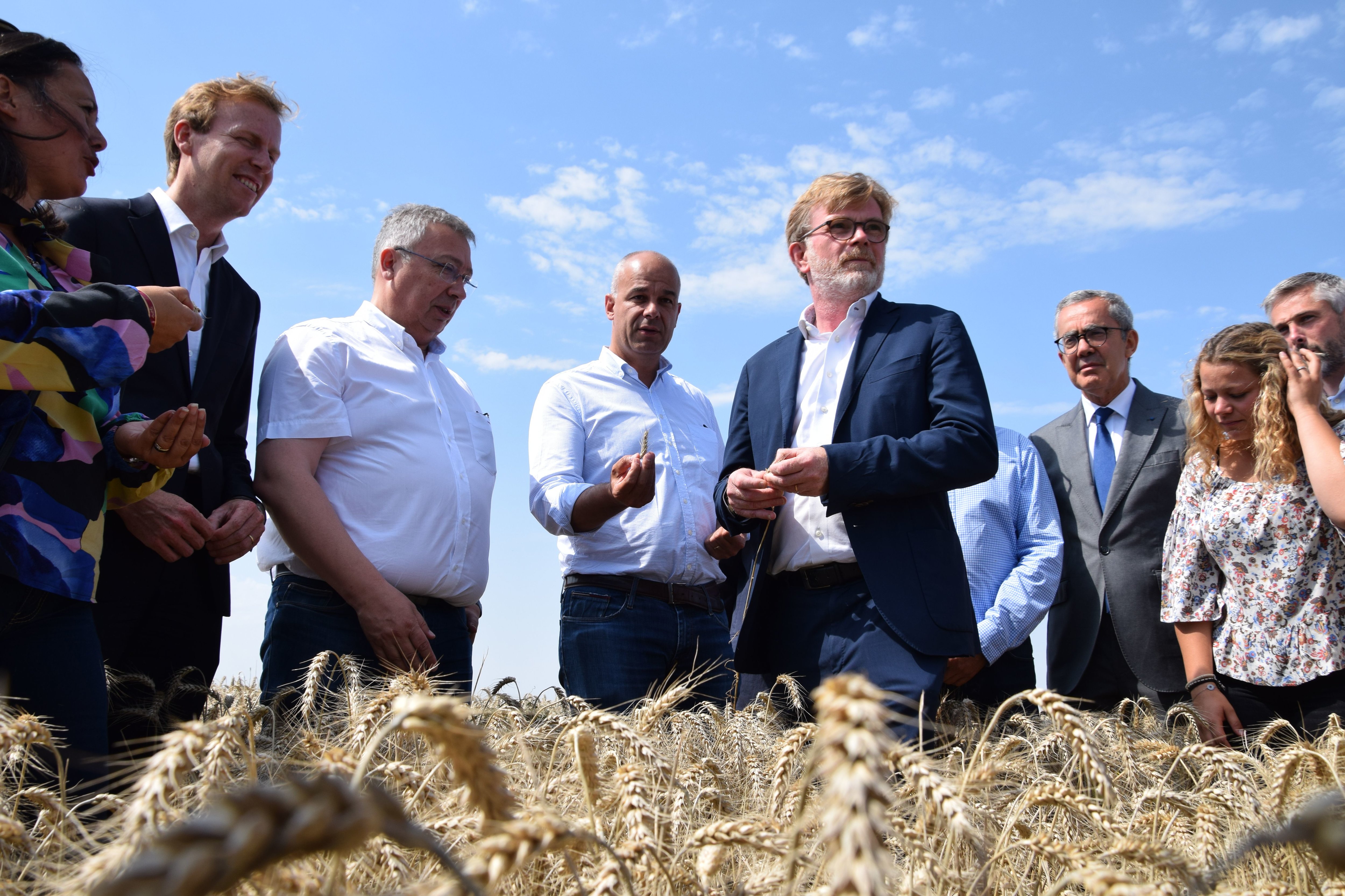 Au cœur d'un champs de blé à Sainville (Eure-et-Loir) ce lundi 29 juillet, Marc Fesneau, ministre de l'Agriculture, est venu constater les mauvais rendements des céréales. LP/Christophe Blondel