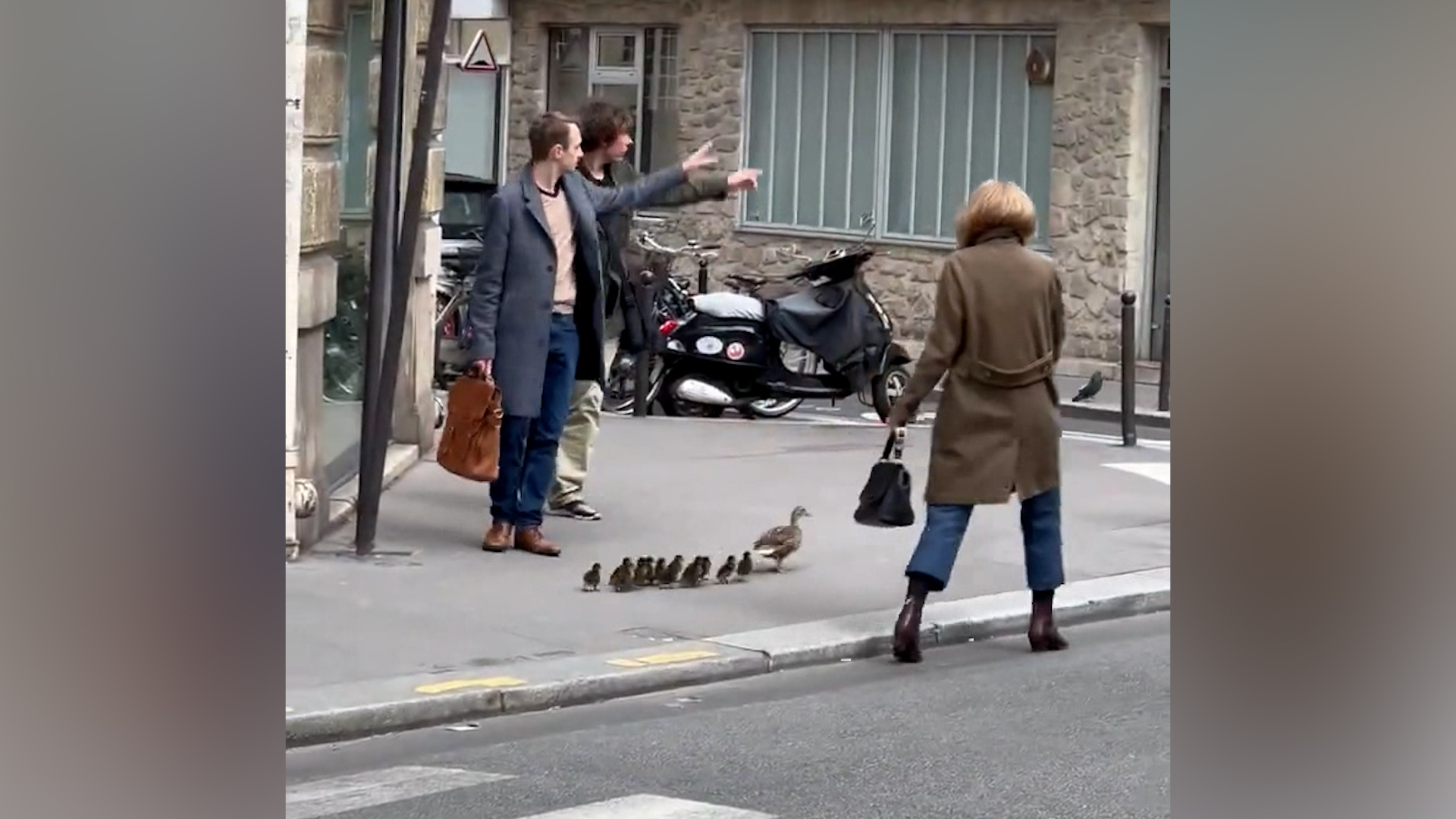 Des canards sous bonne escorte dans Paris
