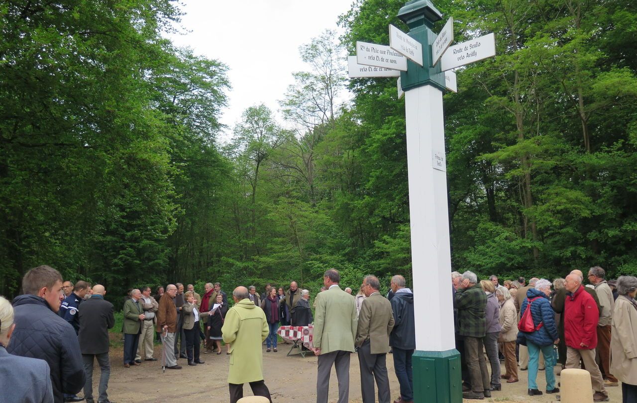 <b>Illustration.</b> La fête au poteau se déroulera comme chaque année au cœur de la forêt d’Halatte. 