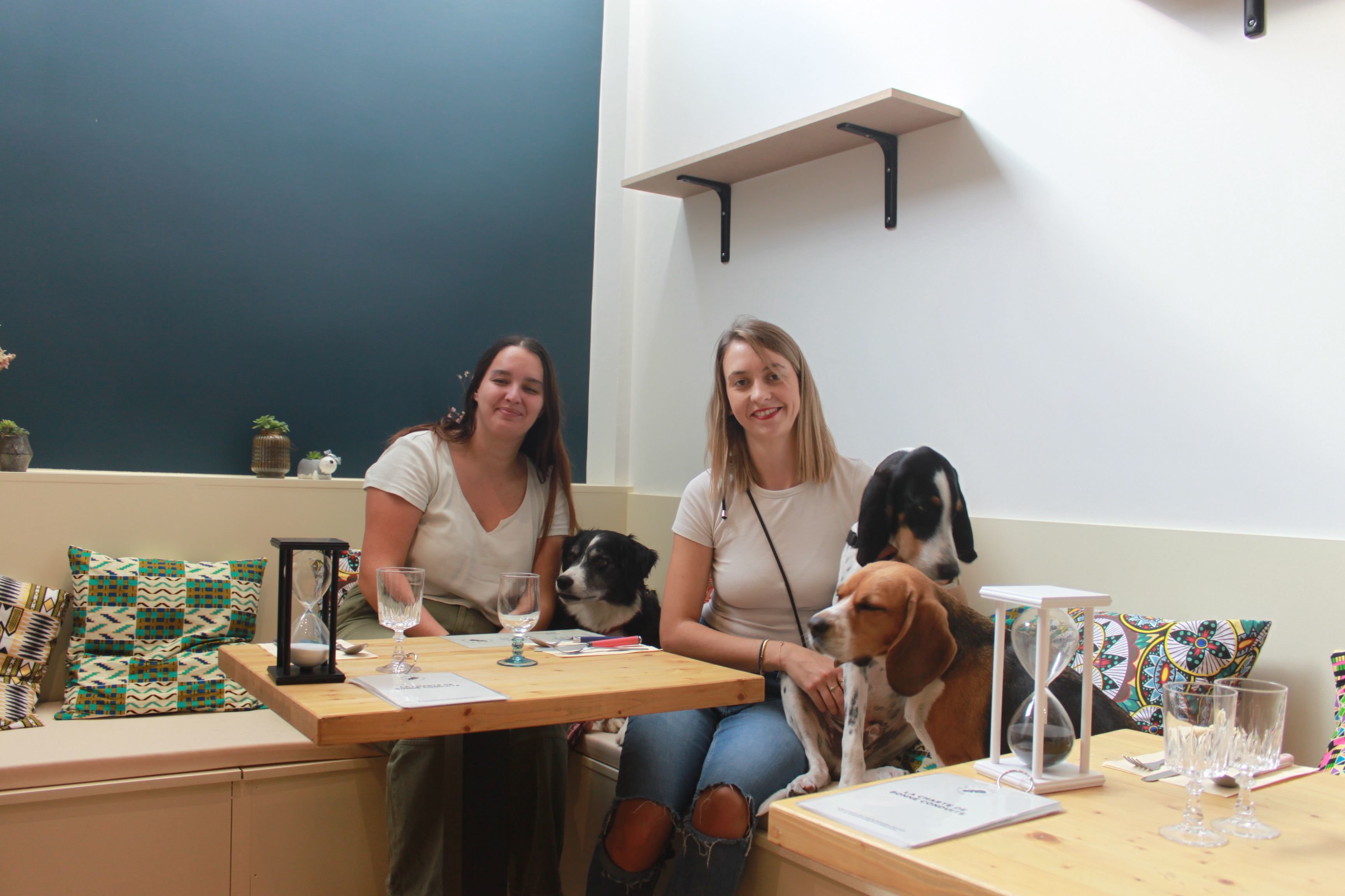 Baptisé Le Canithé, le bar à chiens lancé par Pauline Filhol, 26 ans, et Claire Plegat, 31 ans, à Toulouse (Haute-Garonne) fait déjà le plein. LP/ Julie Rimbert