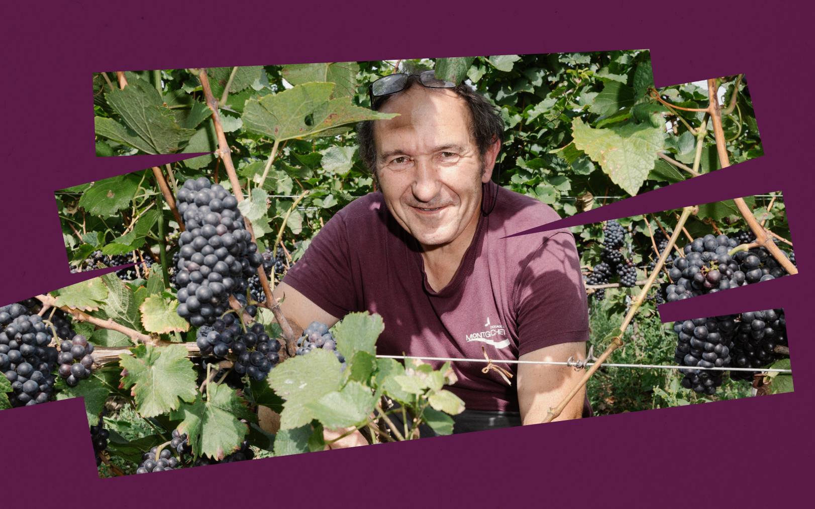 Chelles (Seine-et-Marne), septembre 2023. Ancien menuisier, Pierric Petit s'est lancé dans la production de vin en 2019. Cette année, il prévoit de sortir plus de 20 000 bouteilles. Le Parisien DA - LP/Arnaud Dumontier