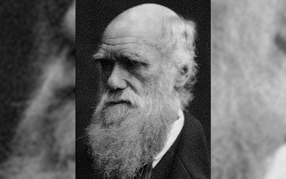 C’est à Charles Darwin que l’on doit la formulation de cette théorie de l'évolution, présentée pour la première fois en 1859 dans «L’Origine des espèces». AFP/HO