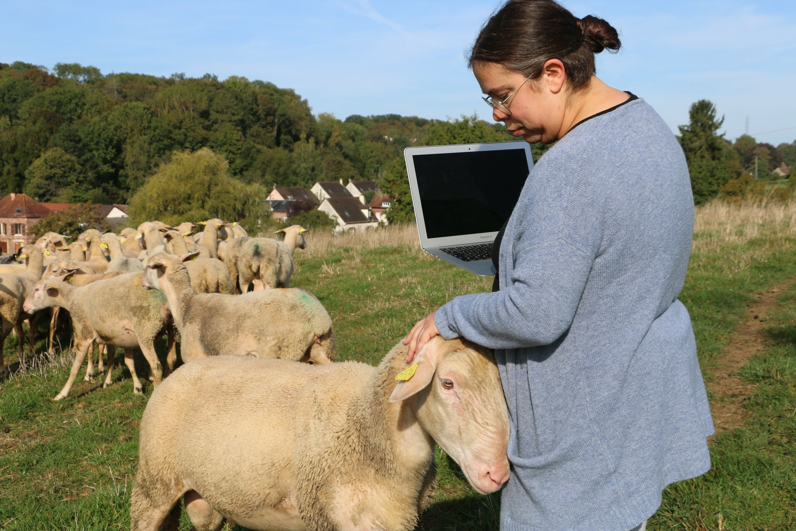 Le Mesnil-Théribus (Oise), vendredi 6 octobre. Chloé Margerin, 38 ans, fait partie de cette nouvelle génération d'agriculteurs prompts à s'emparer des outils numériques. LP/Juliette Duclos