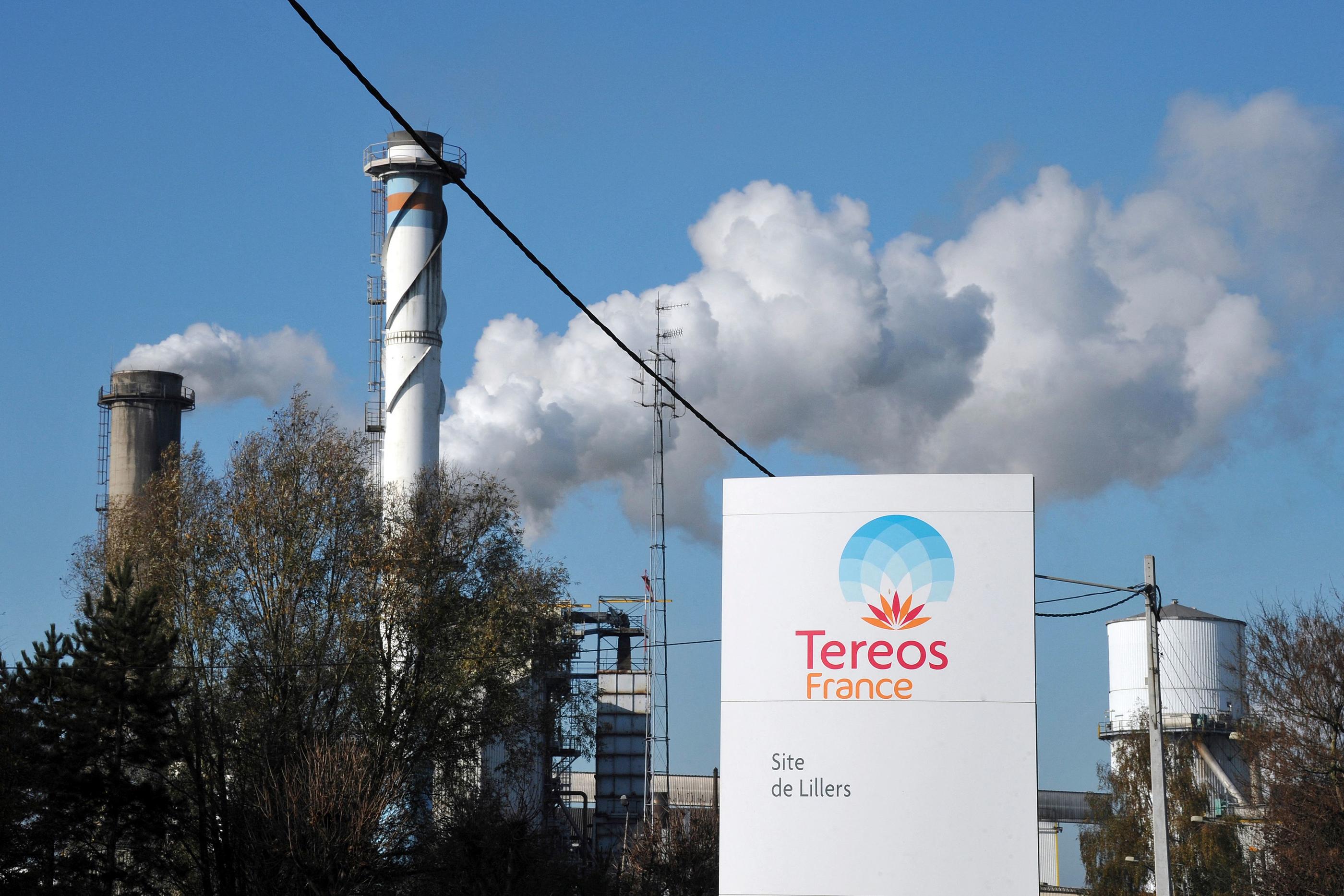 Tereos, deuxième groupe sucrier mondial, explique sa décision par « une réduction durable » de la production de betteraves sucrières. (Illustration) AFP/Philippe Huguen