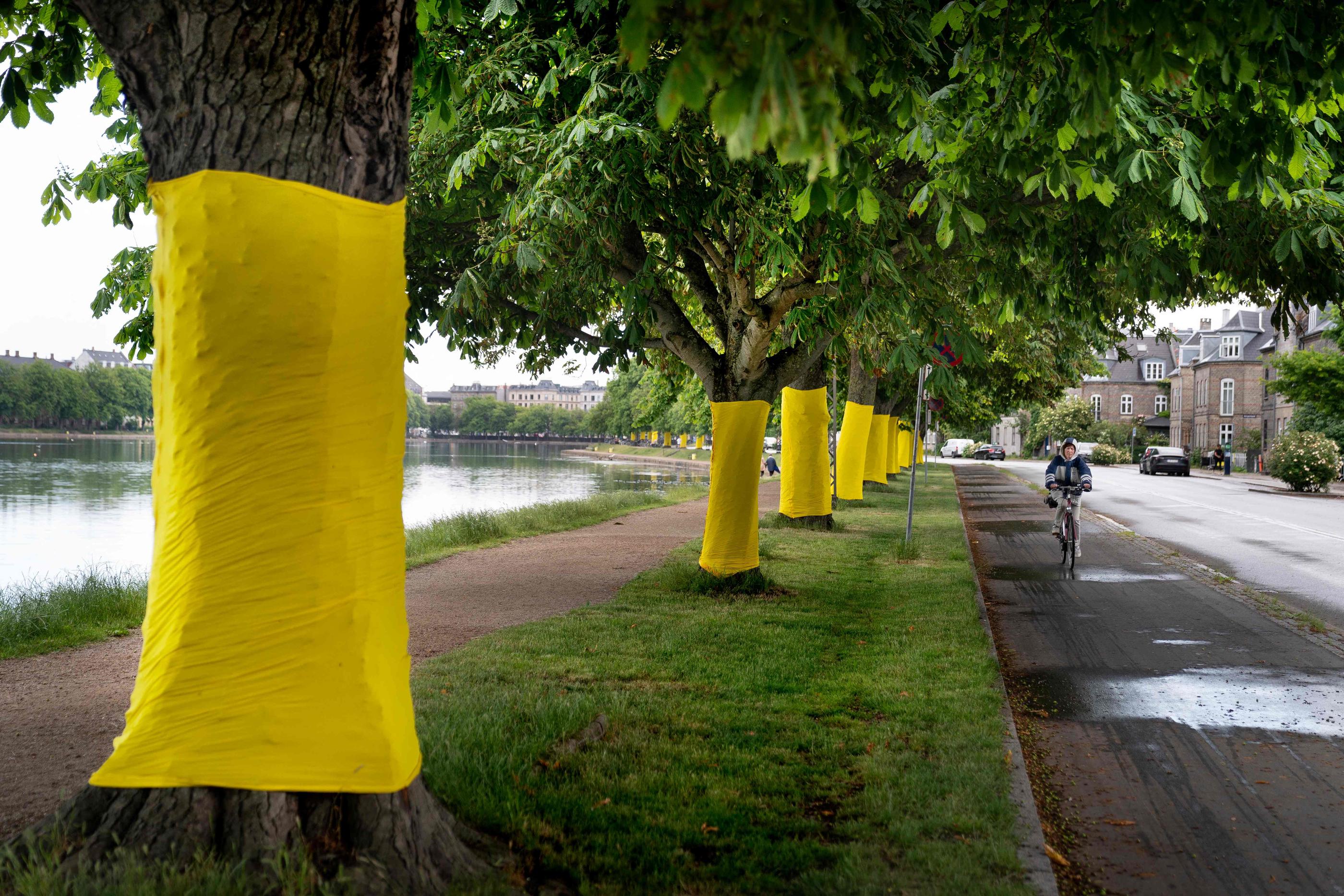 Grenoble. Top départ d'un tour de France solidaire