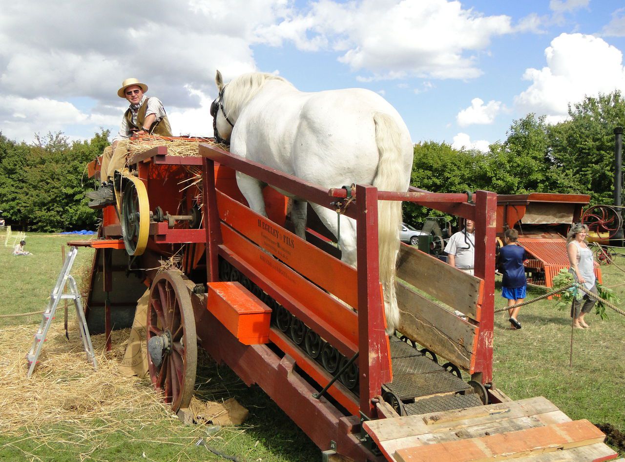 <b></b> Remontez le temps à la fête de la moisson et des vendanges. 