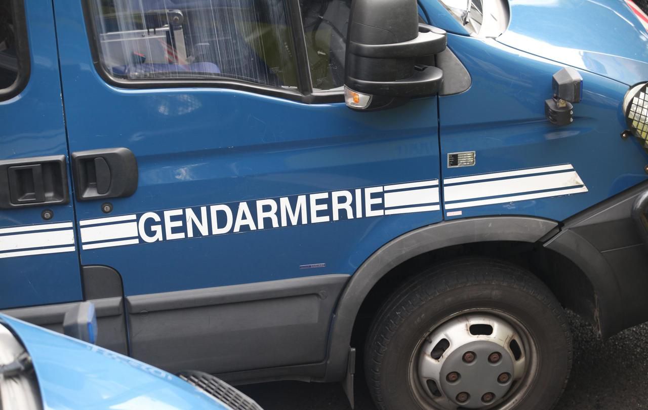 <b></b> Illustration. Des gendarmes ont été dépêchés sur les lieux de la rave party. 