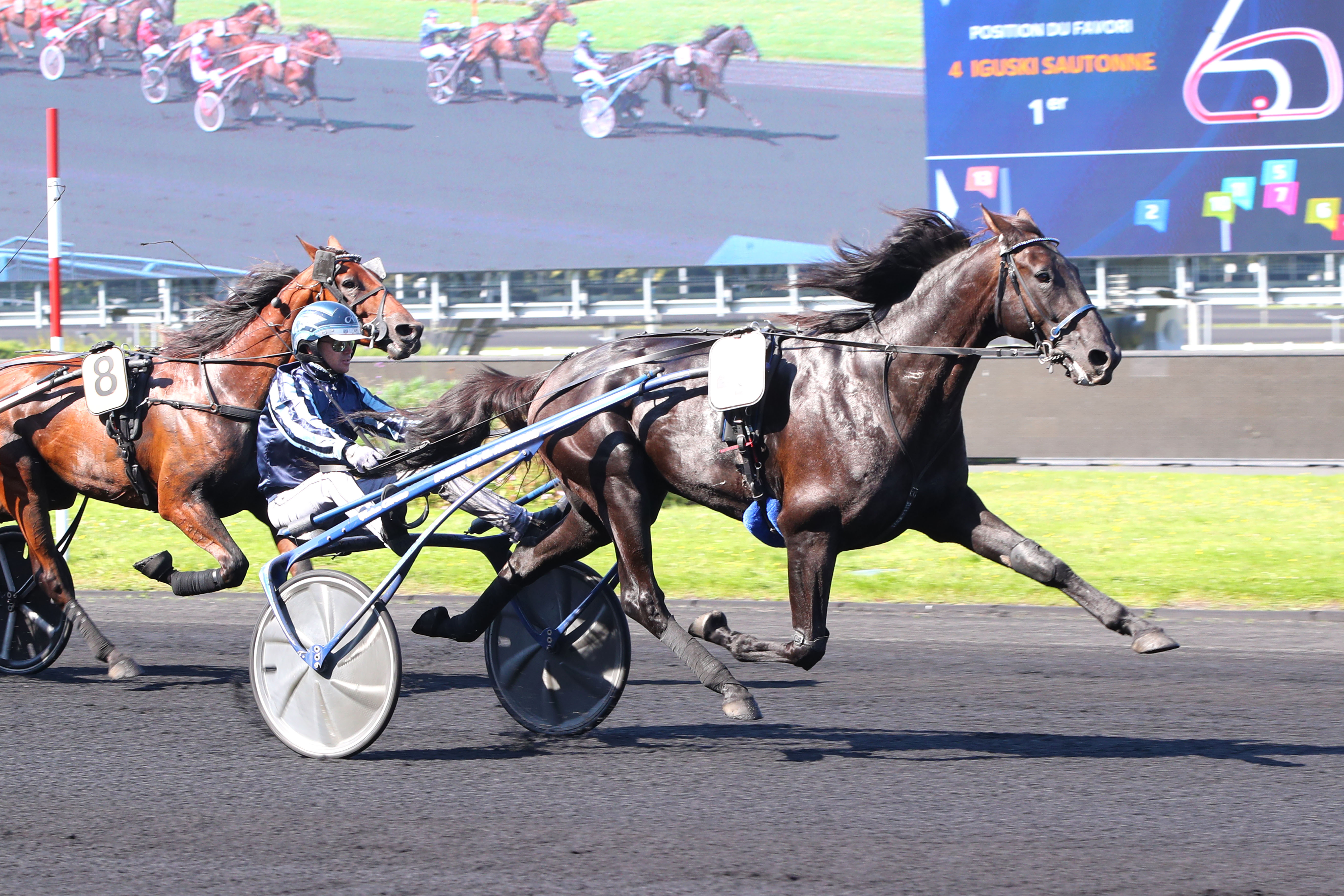 Paris Vincennes (XIIe), le 19 septembre 2024. Iguski Sautonne brille pour la première fois dans le temple du trot. SCOOPDYGA - CHOURAQUI Elliott