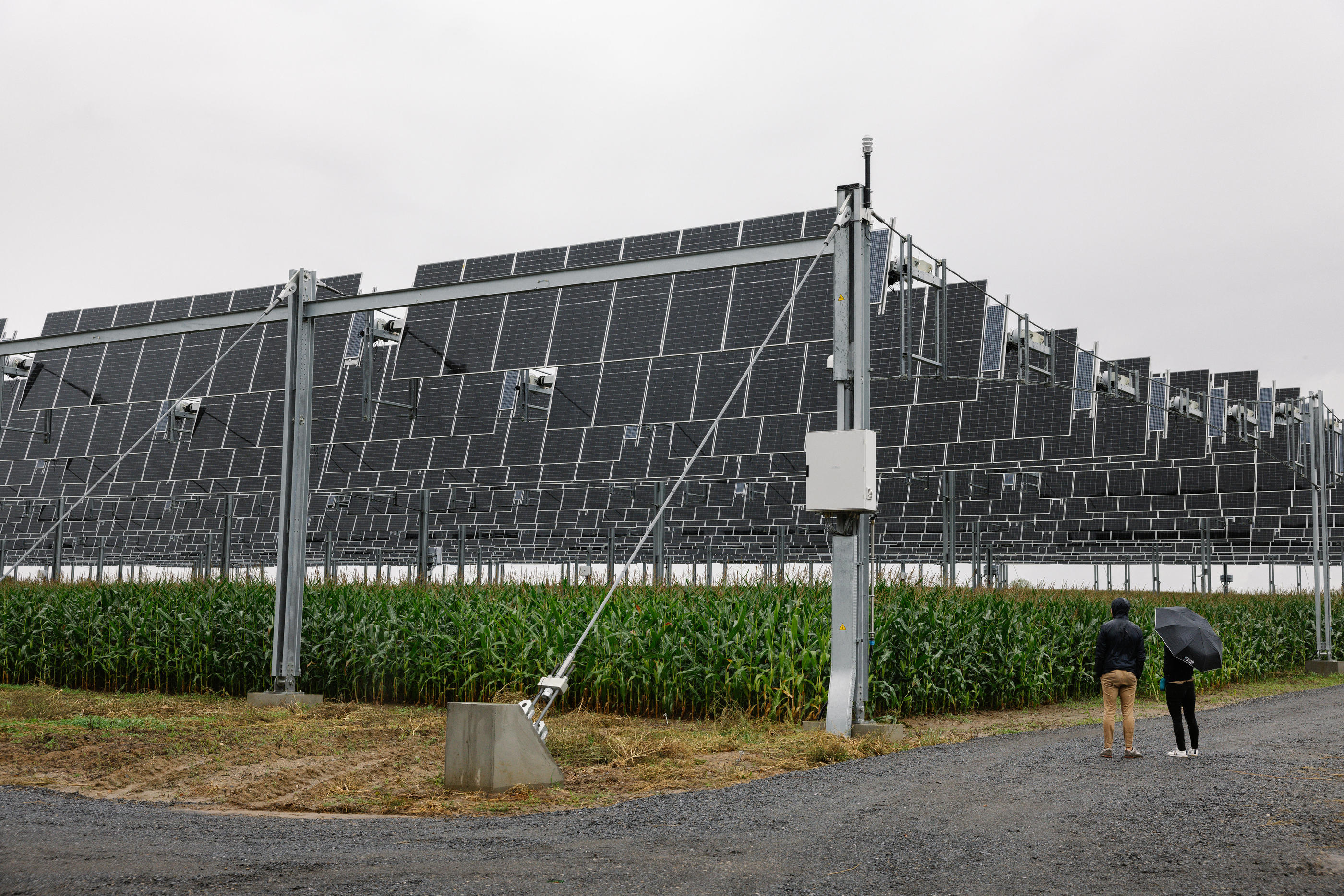 La construction d'installations photovoltaïques dans des surfaces cultivées (ici dans la Somme) provoque des remous au sein de la communauté agricole. (Archives) LP/ Arnaud Dumontier