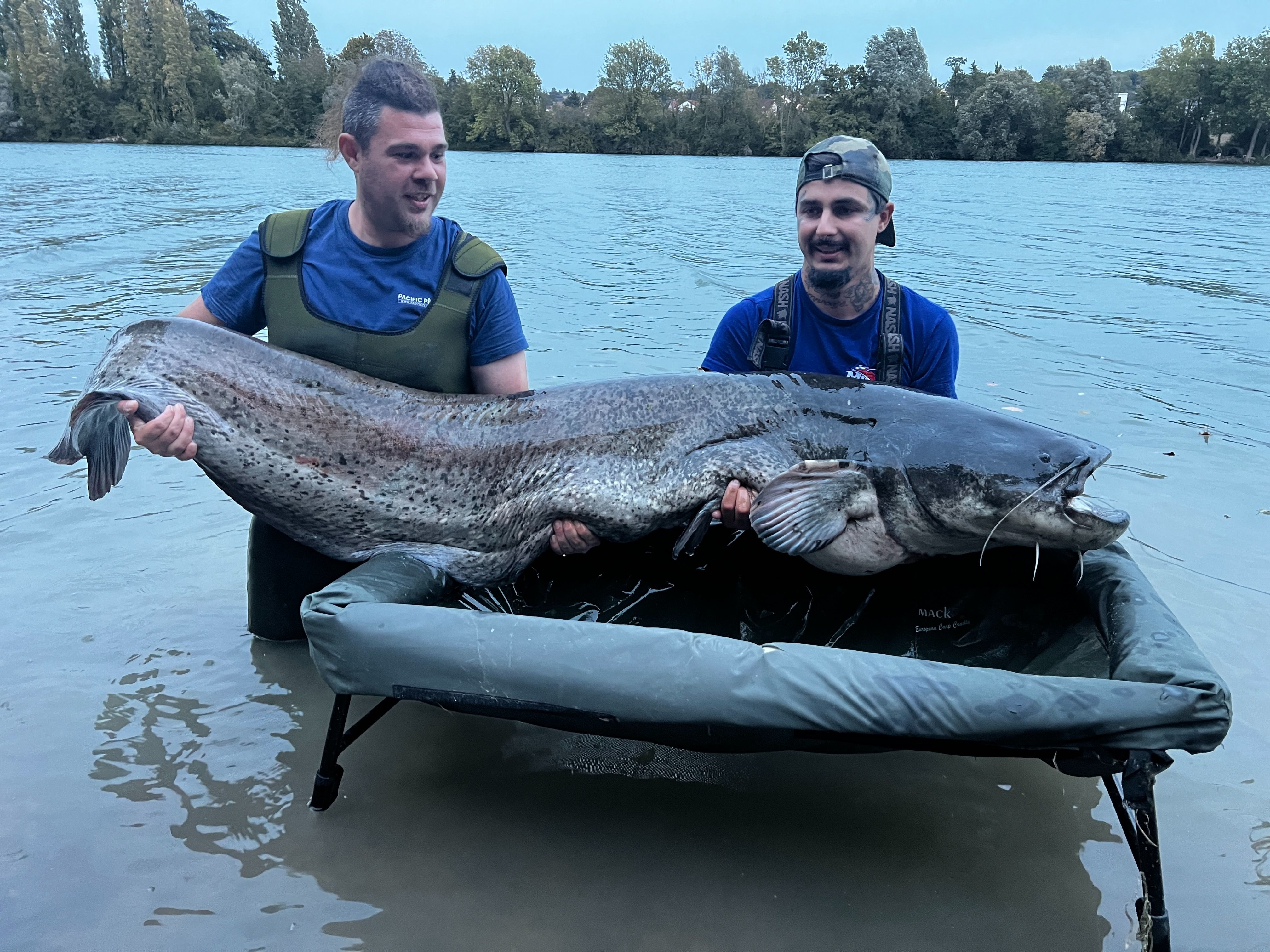 Corbeil-Essonnes, le 14 octobre 2023. Pendant un enduro de pêche, Anthony Nesta et Sébastien Dumortier sont parvenus à remonter un silure de 2m35. Un spécimen qu'ils ont relâché ensuite dans le fleuve. DR