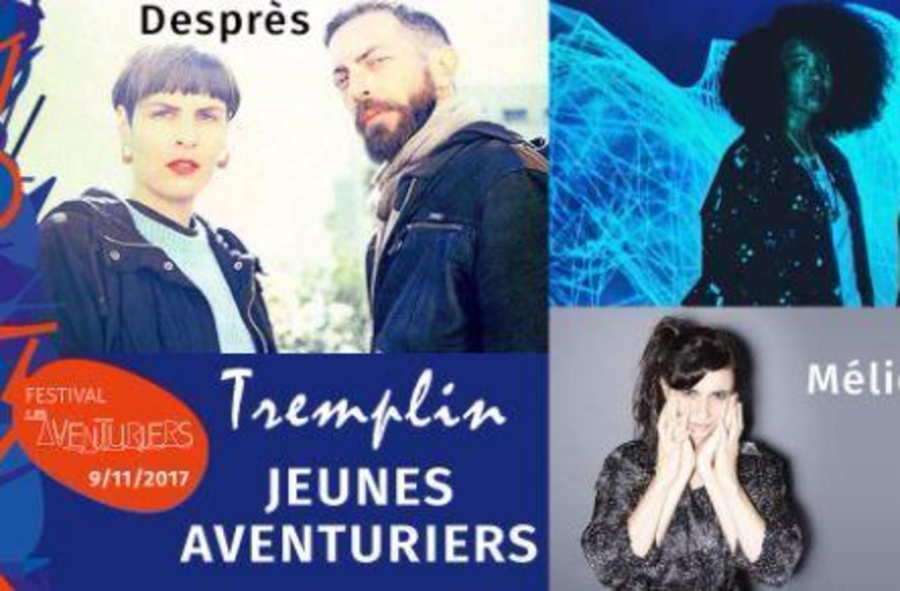 <b></b> Le duo Després, le duo Kodäma et Mélie Fraisse sont les trois finalistes du tremplin des Jeunes Aventuriers 2017, à entendre, ce jeudi soir, à Fontenay 