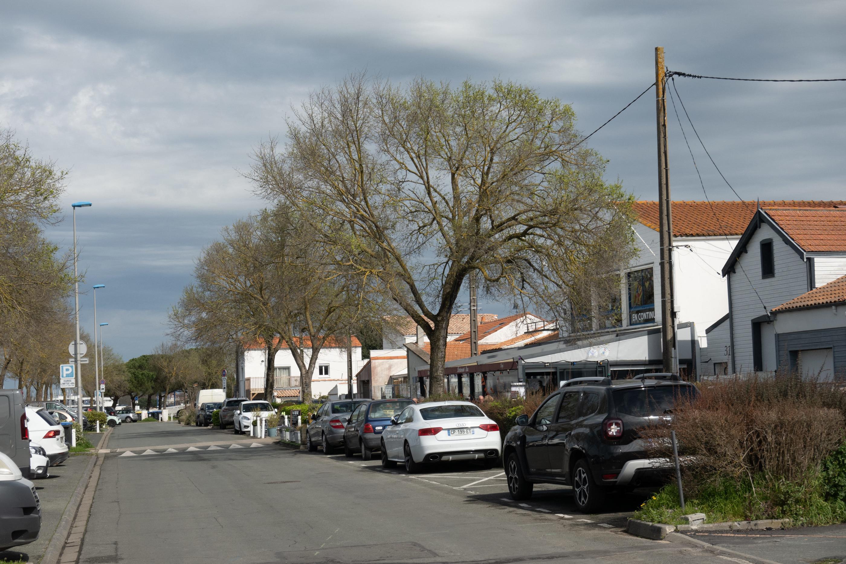 La Rochelle (Charente-Maritime). L'avenue des Minimes serait la rue la plus chère de la ville selon une étude de Meilleurs agents. /PHOTOPQR/Sud Ouest/Xavier Leoty