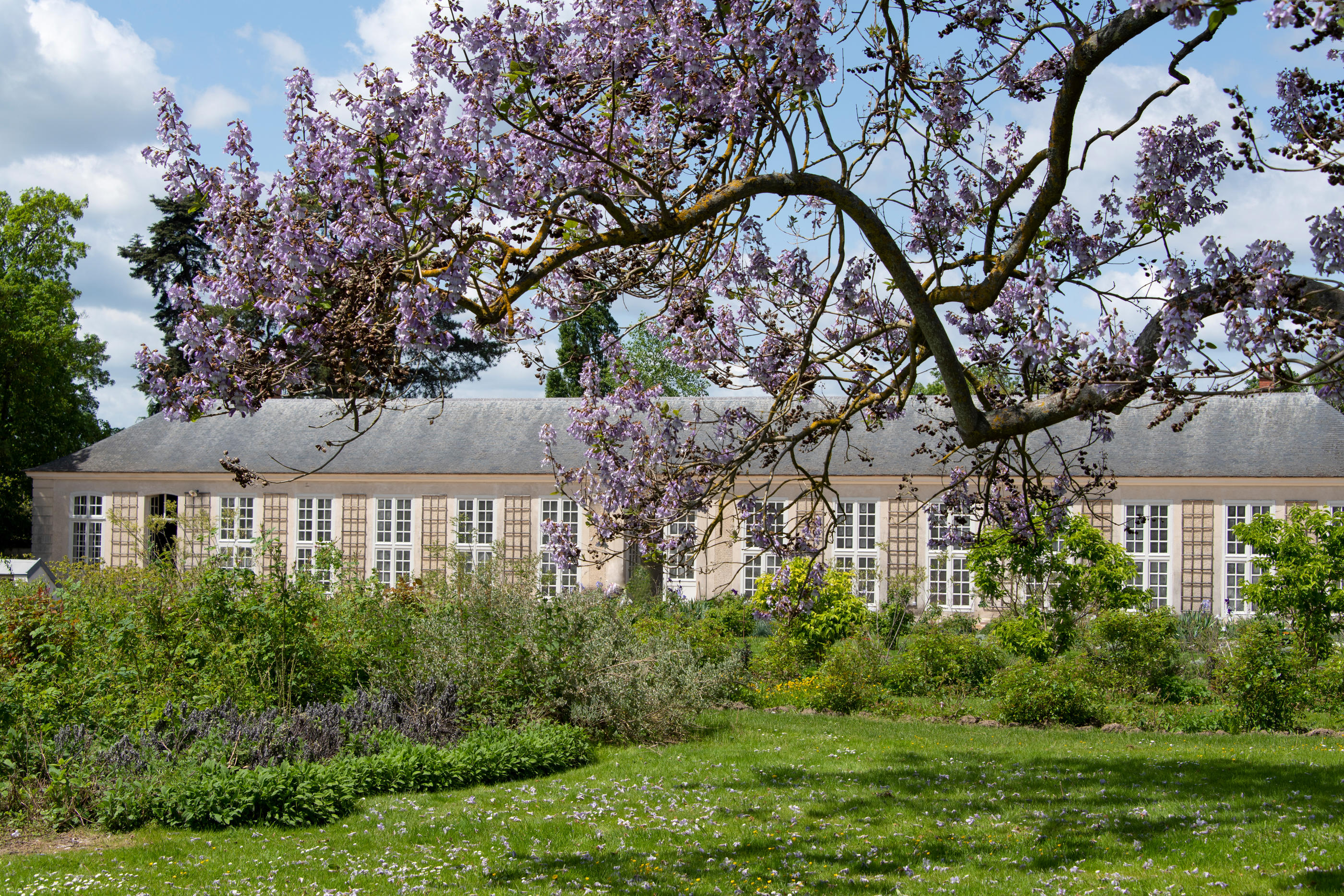Le Jardin du Parfumeur a ouvert le 30 mai, dans le domaine du Trianon, à Versailles (Yvelines). Château de Versailles/Didier Saulnier