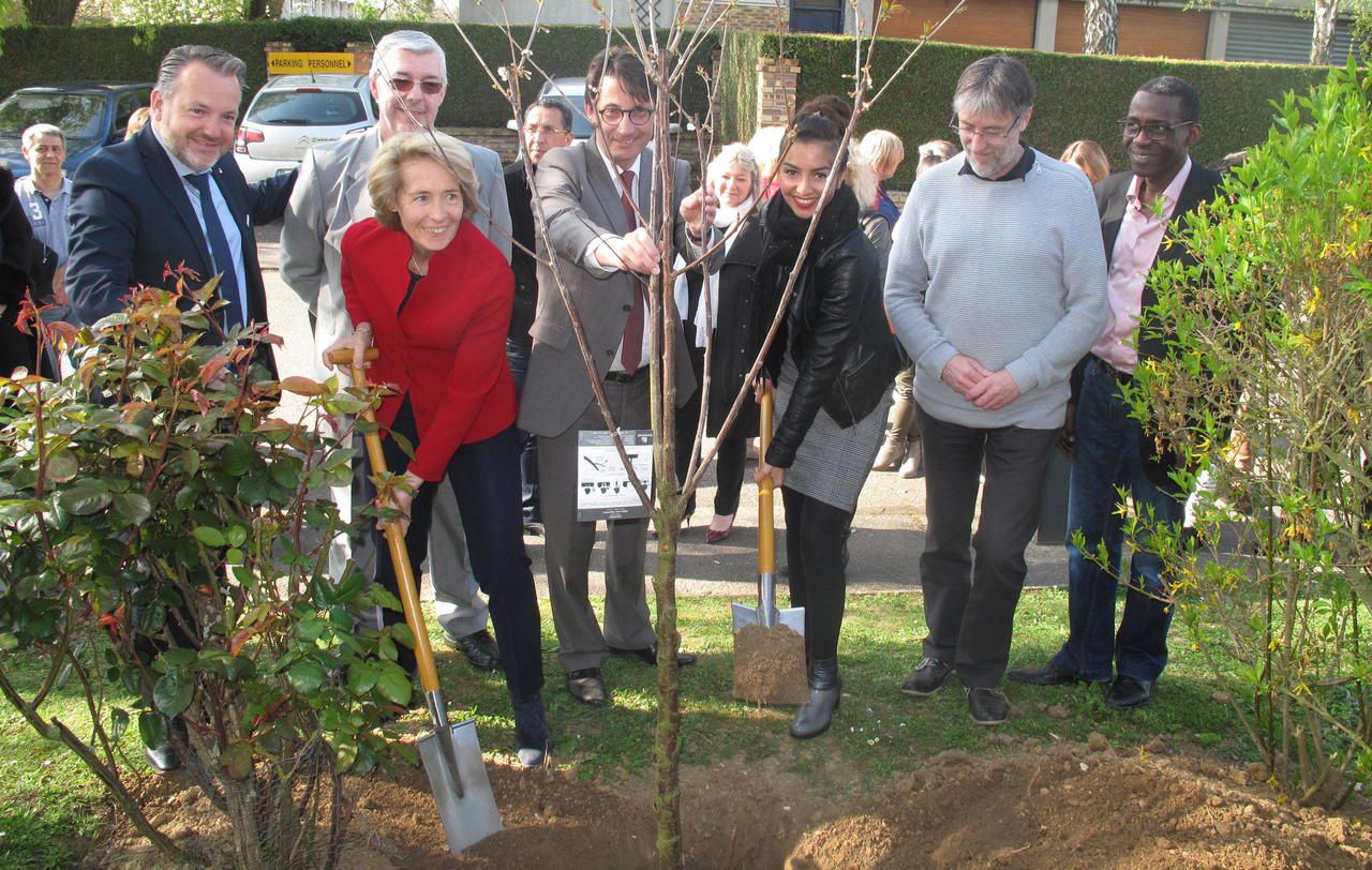 Centre Réadaptation Fonctionnelle Crf Saint Lazare Ugecam Hauts De France