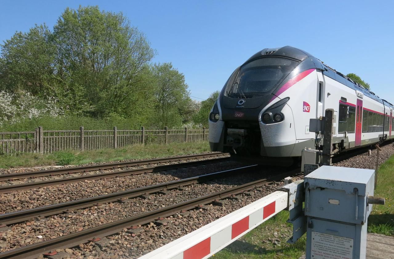 <b></b>  Le bébé né dans le train de la ligne P Paris - Provins se porte bien d’après la SNCF. (Illustration) 