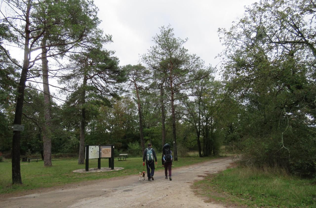 <b></b> Forêt de Fontainebleau, samedi 3 octobre. Site naturel le plus visité de France, la forêt de Fontainebleau rejoint le château de la cité impériale déjà classé pour la candidature du « Domaine de Fontainebleau » au patrimoine mondial de l’Unesco.