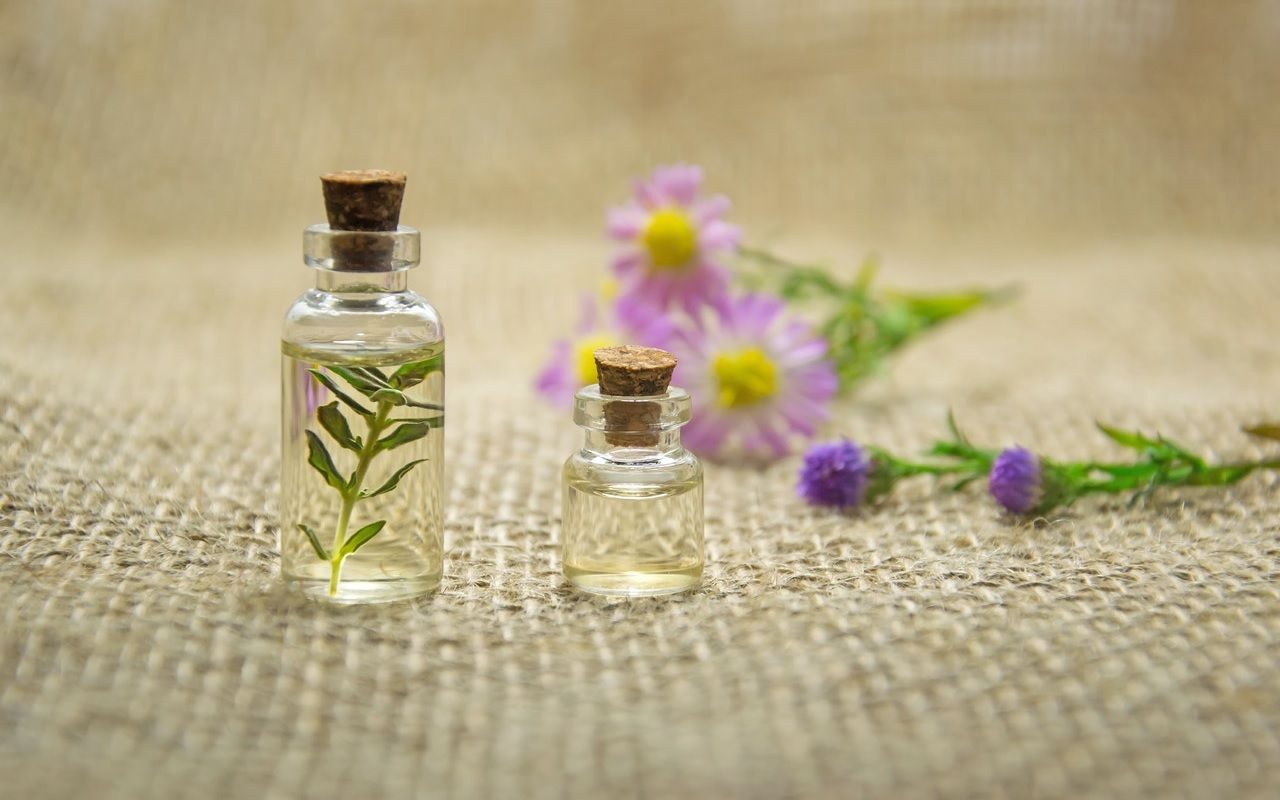 Anti Moustiques Top 12 Des Solutions Naturelles Le Parisien