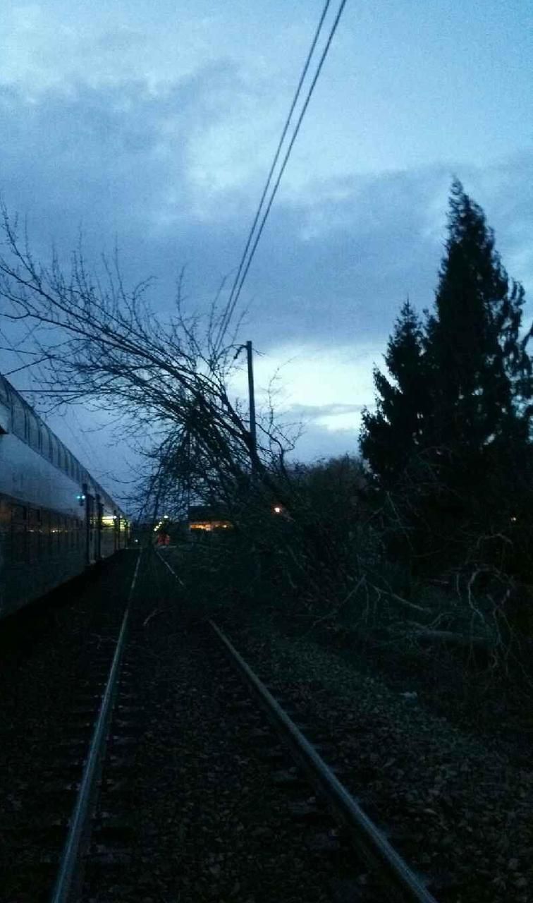 <b></b> Ce mercredi 3 janvier. Un arbre tombé est tombé sur les voies, à Us suite à la tempête Eleanor.