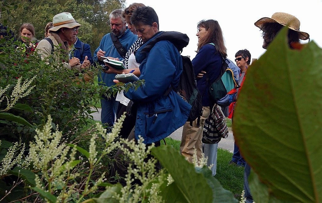 <b>Illustration.</b> Des ateliers mis en place par le parc Carisiolas permettront de découvrir les plantes sauvages. 