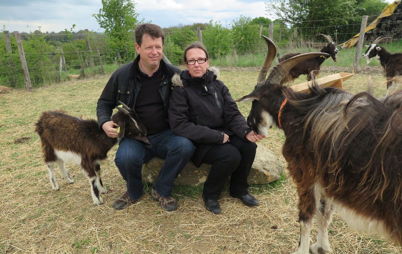 <b></b> Oinville-sur-Montcient. Agnès et Frédéric La Noë ont développé une activité d’éco-pâturage avec une centaine d’ovins. Aujourd’hui, ils ont besoin de créer une bergerie pour développer leur affaire.  