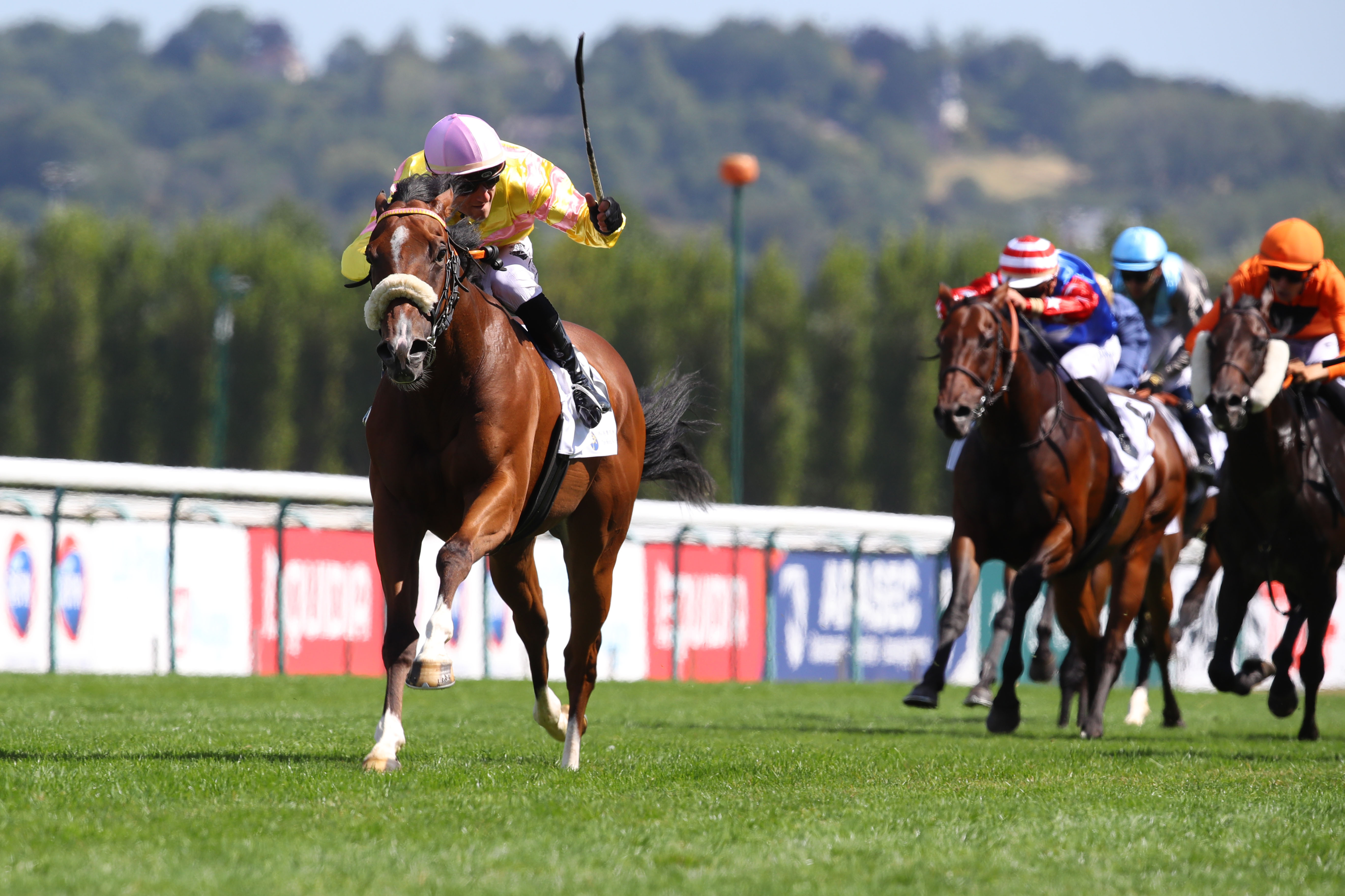 Deauville (Calvados), le 15 Août 2024. Major Oak laisse à nette distance ses adversaires du jour et signe un troisième succès de rang, le premier dans un quinté.