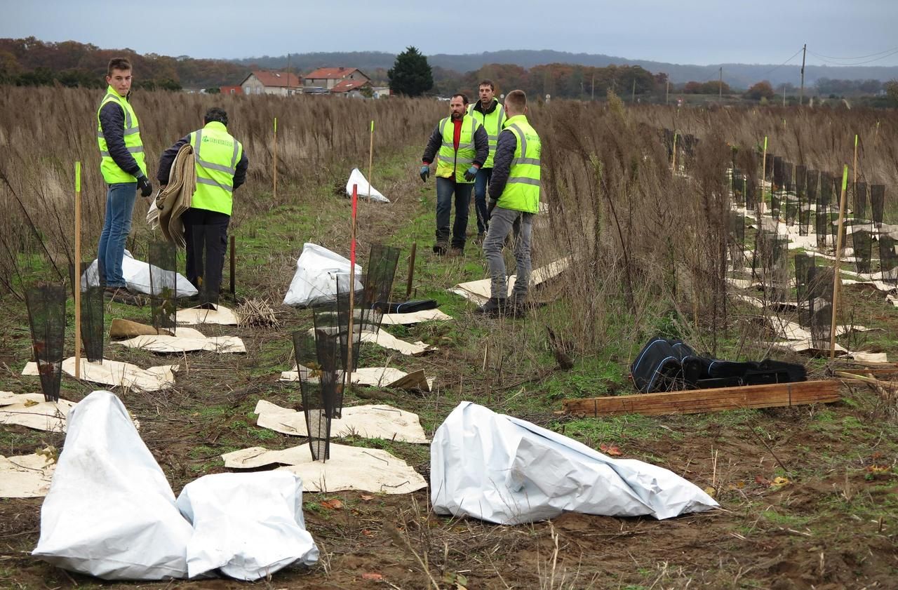 Val-d’Oise: where are we in the future green lung of Greater Paris?