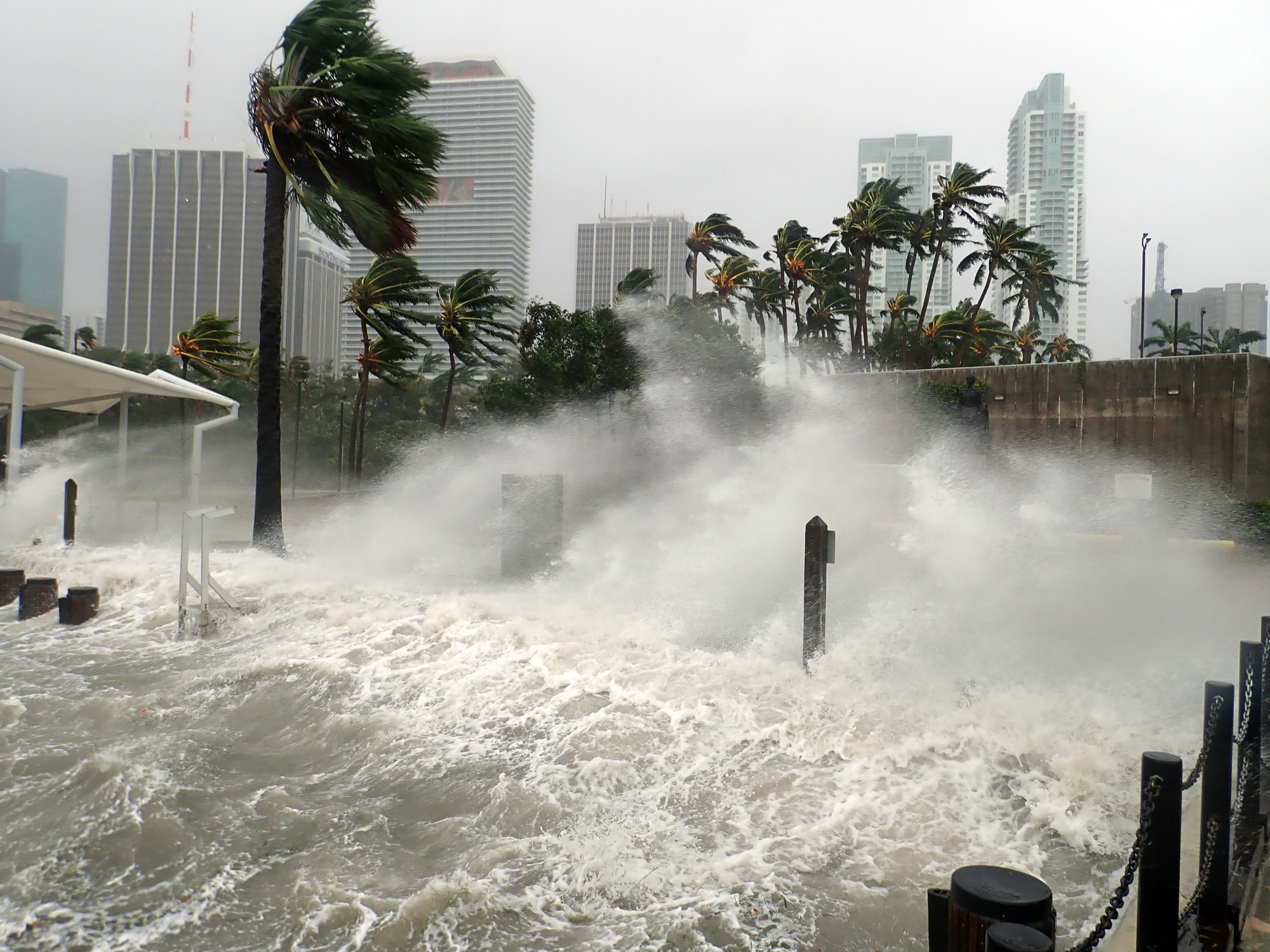 L'ouragan Irma, qui a frappé la ville de Miami en Floride en 2017, était classé en catégorie 5, soit le niveau le plus élevé sur l'échelle de Saffir-Simpson. Getty Images / Warren Faidley