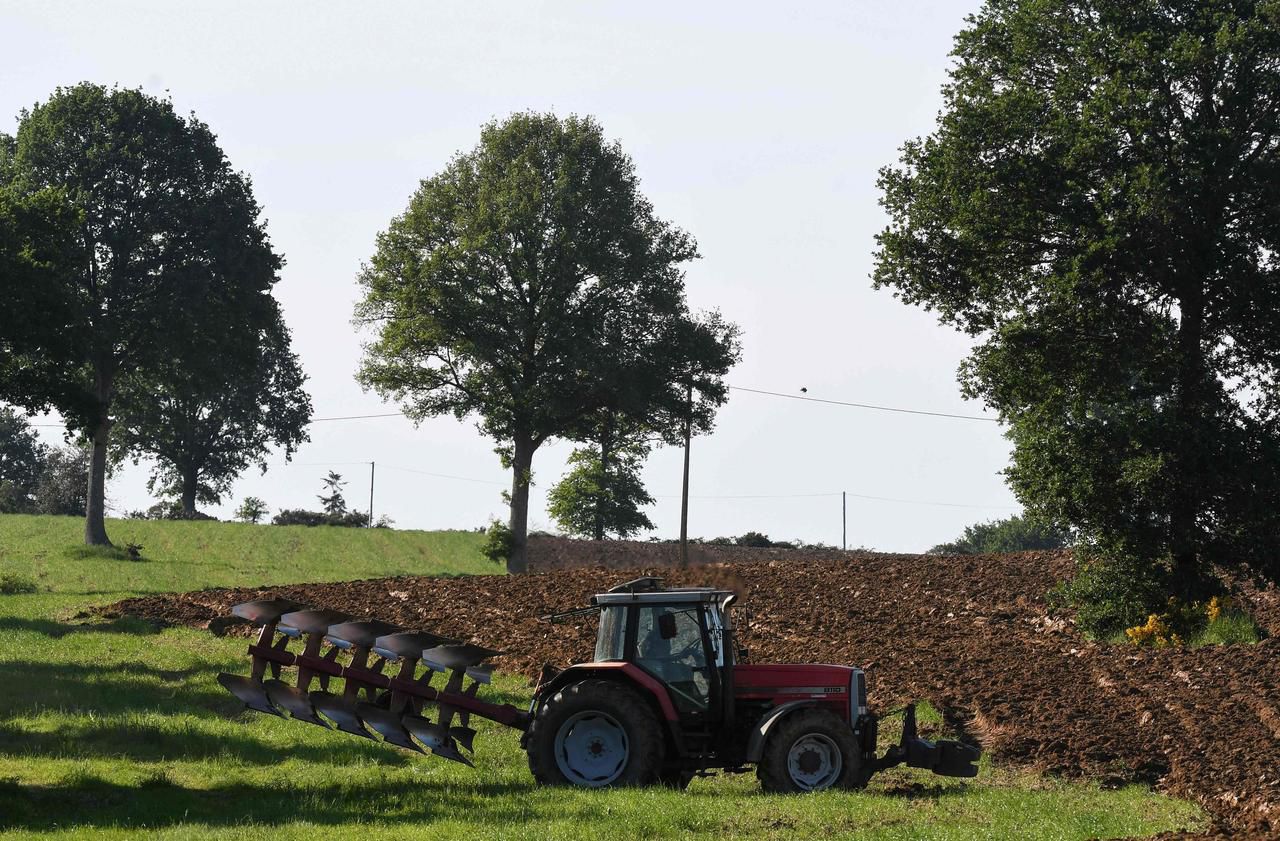 <b></b> Certains producteurs régionaux ont écoulé jusqu’à cinq fois plus de colis que d’habitude.