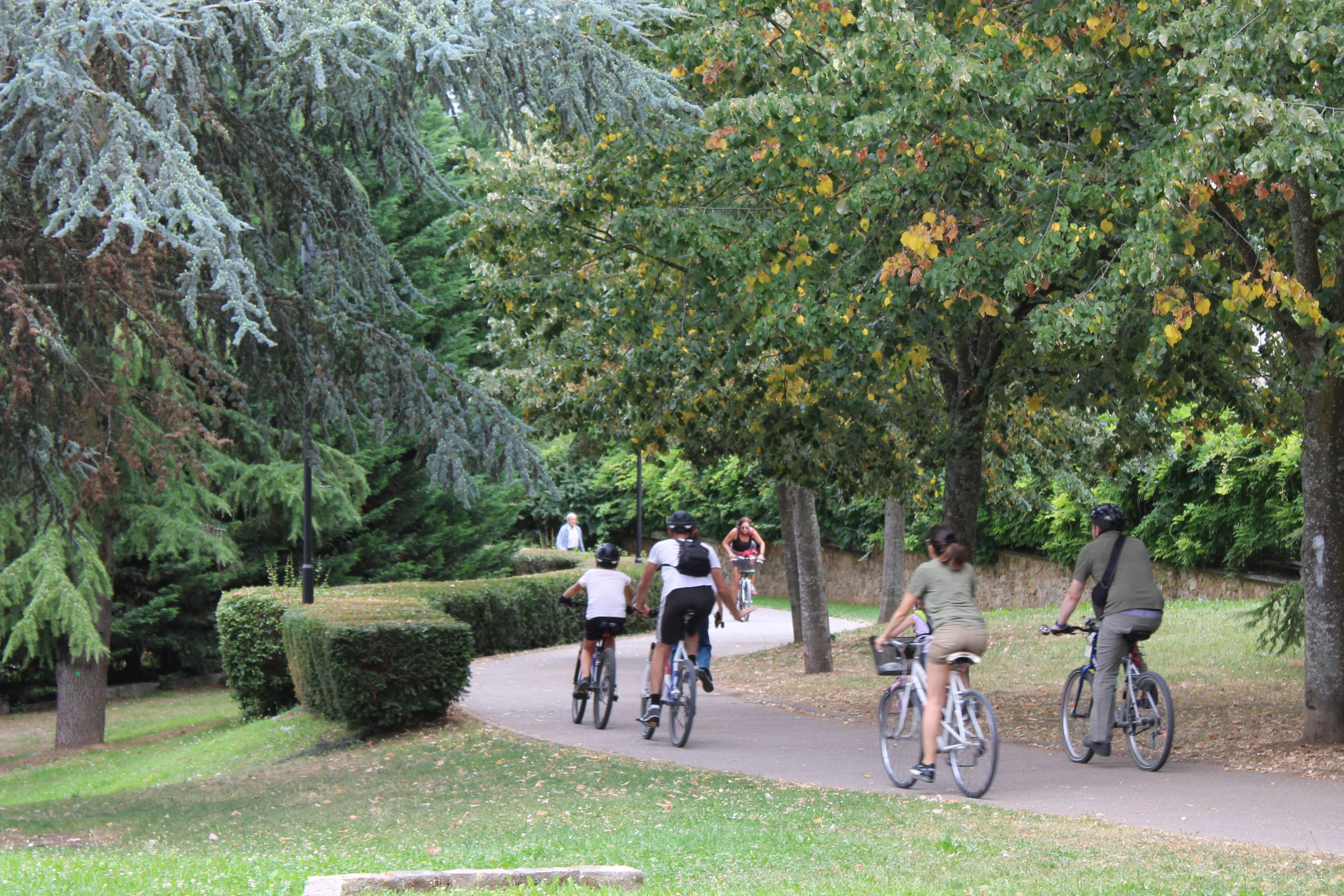 Sceaux (Hauts-de-Seine), en août. Entièrement aménagée pour les cyclistes, la coulée verte est le lieu idéal pour une promenade en famille. LP/Yoann Bourgin