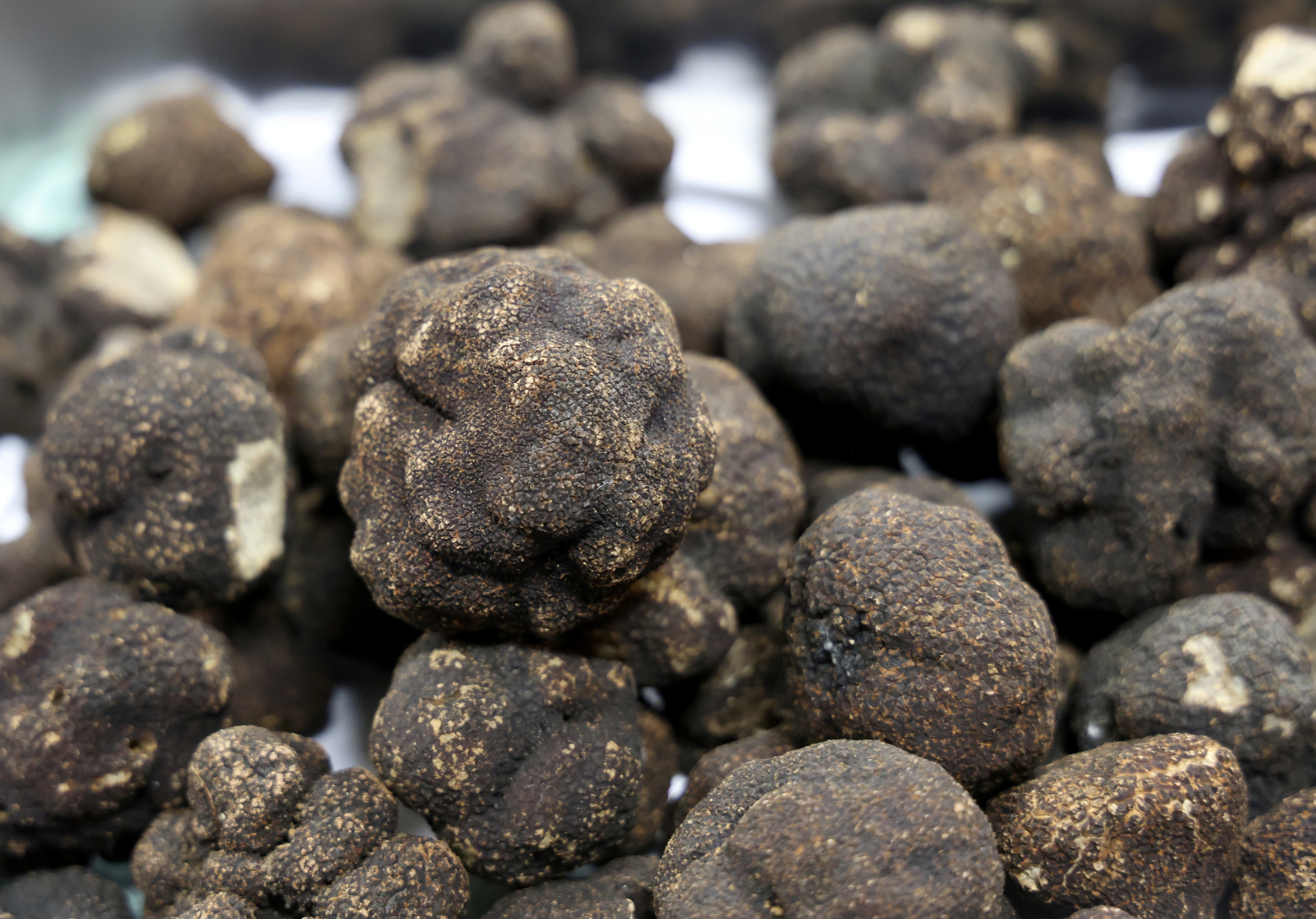 Brisures de truffes noires - 105g