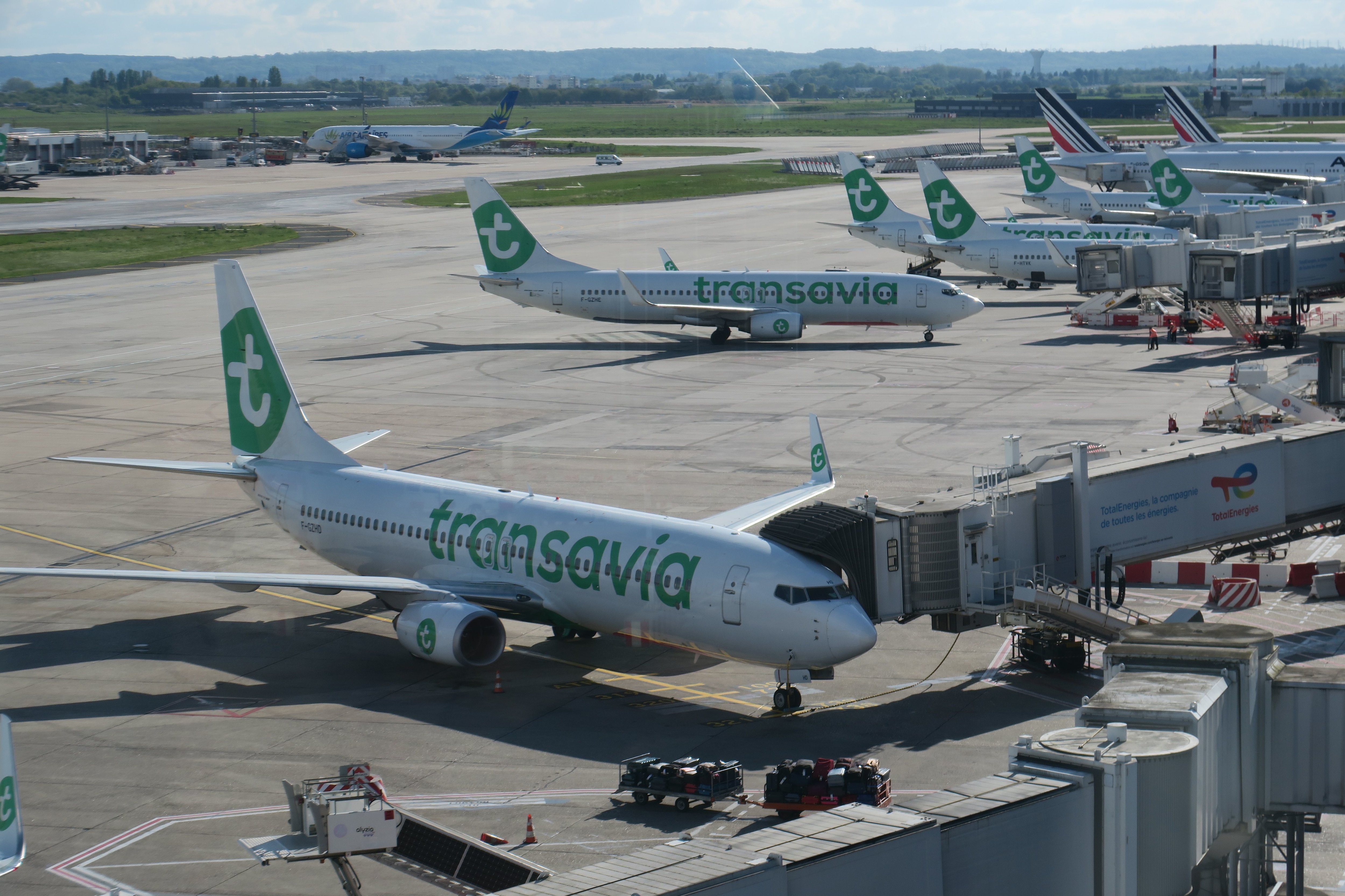 Aéroport d'Orly, mai 2023. Transavia reprendra les créneaux libérés par Air France lors de son départ, mais pas forcément ses destinations. LP/Marine Legrand