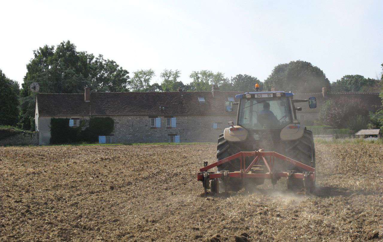 Les terres agricoles de l’Oise parmi les plus chères de France  Le