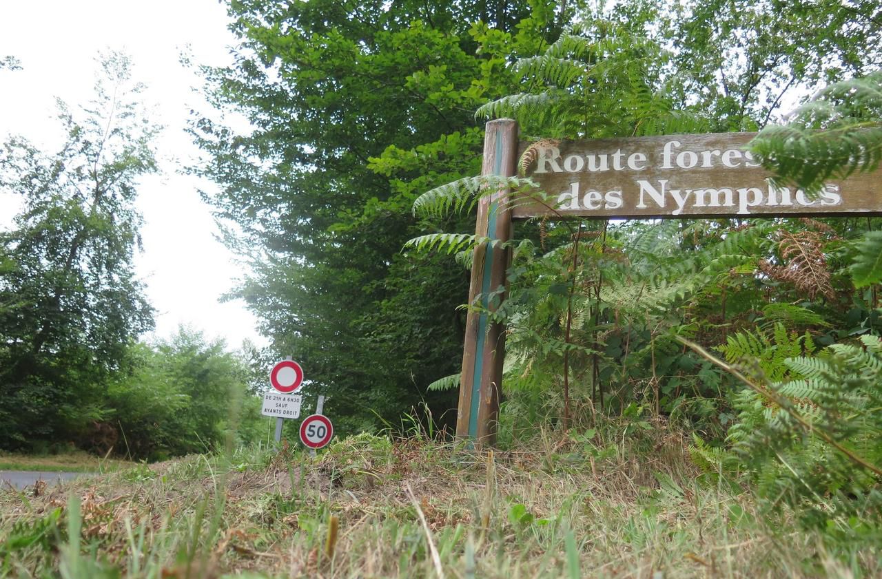 <b></b> Compiègne, ce lundi. C’est en forêt de Compiègne, lieu de rencontres homosexuelles, que les agresseurs ont attiré leur victime.