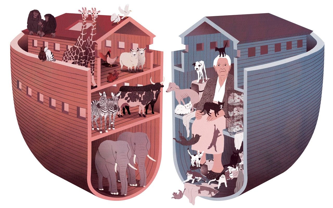 -Atteints du syndrome de Noé, ils accumulent les animaux compulsivement