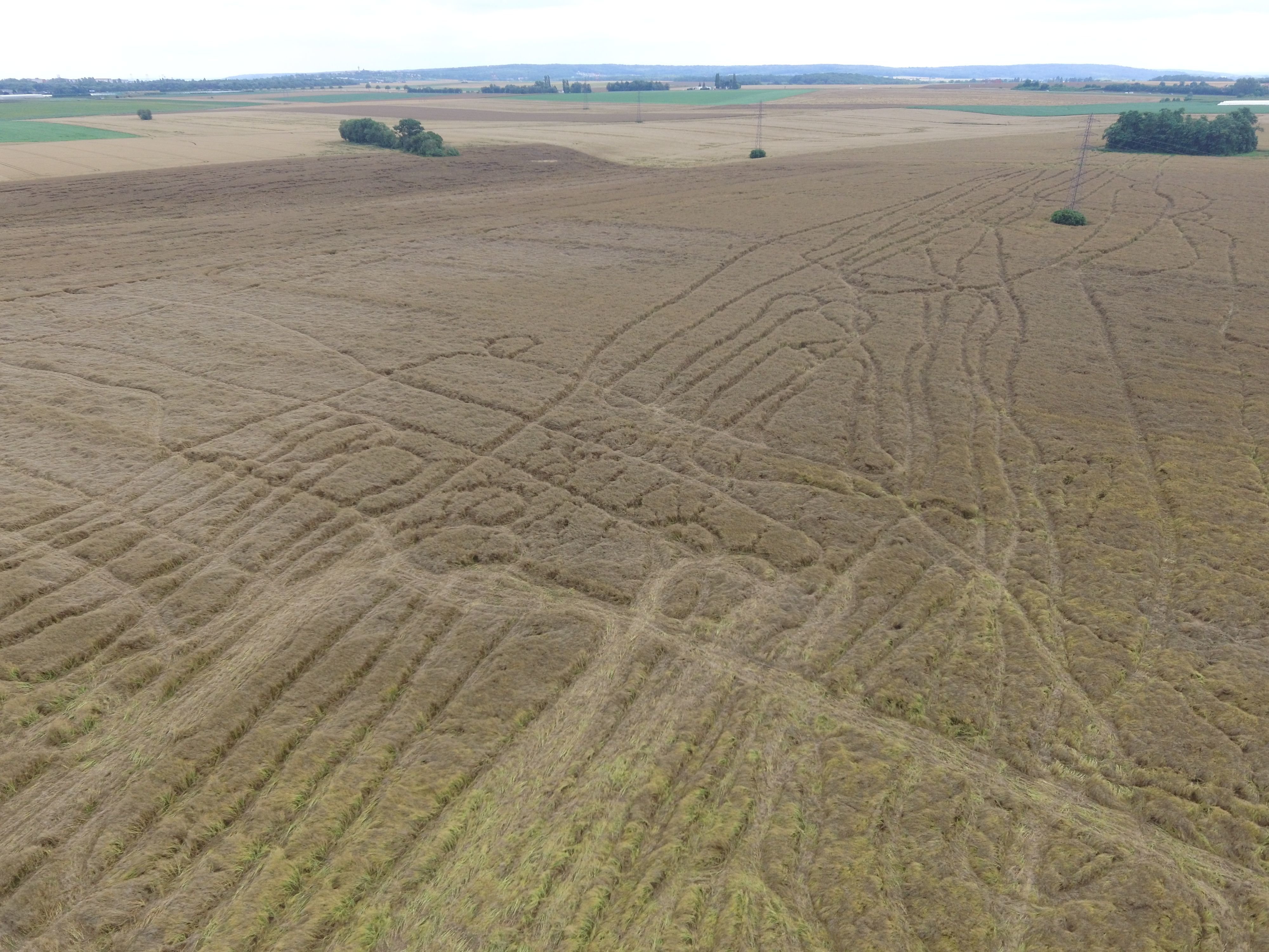 Ableiges (Val-d'Oise), mercredi 14 juillet. A quelques jours de la moisson, des champs de blé ont été abîmés par les passages des quads de gens du voyage qui recherchaient Dany, un braqueur présumé qui a disparu. LP/T.C.