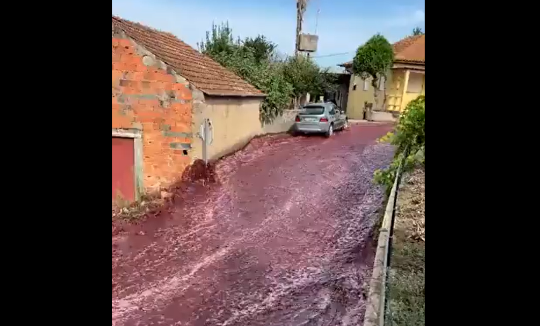 2,2 millions de litres de vin rouge se sont déversés dans les rues de São Lourenço do Bairro, au Portugal. Capture d'écran / YouTube Diário de Coimbra