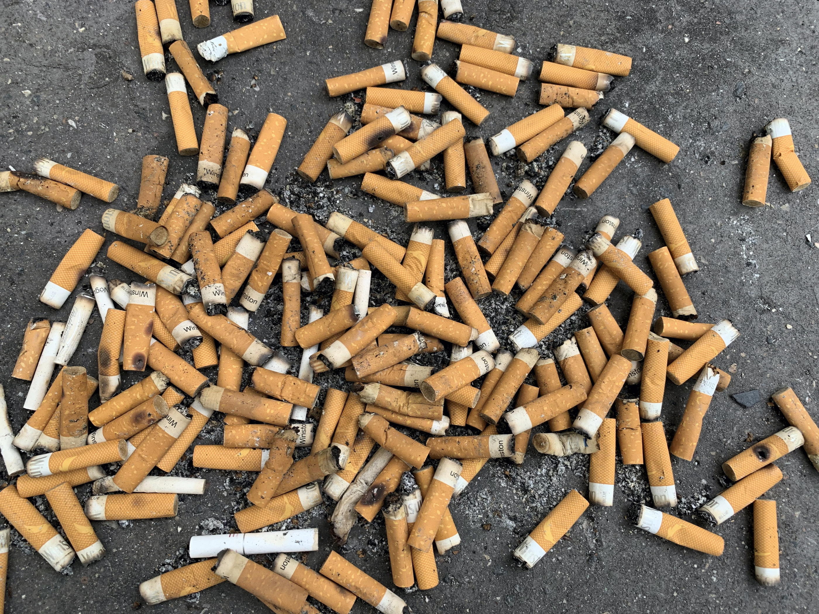 Cancer: Le tabac, premier facteur de risque de cancers en France