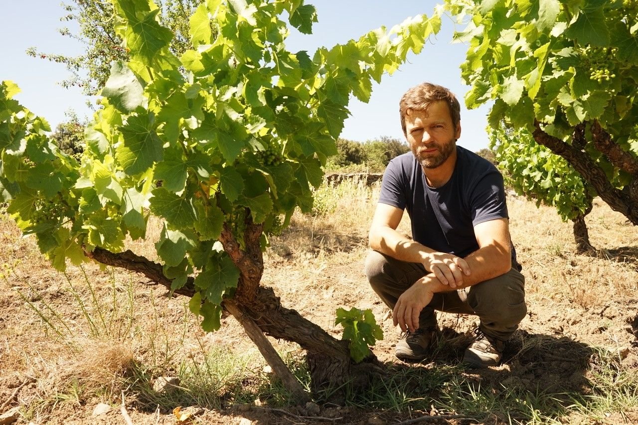 Le Clos du Rouge-Gorge, le vignoble de Cyril Fahl dans les Pyrénées-Orientales, a remporté trois étoiles dans le Guide Vert 2023 des Meilleurs vins de France. DR