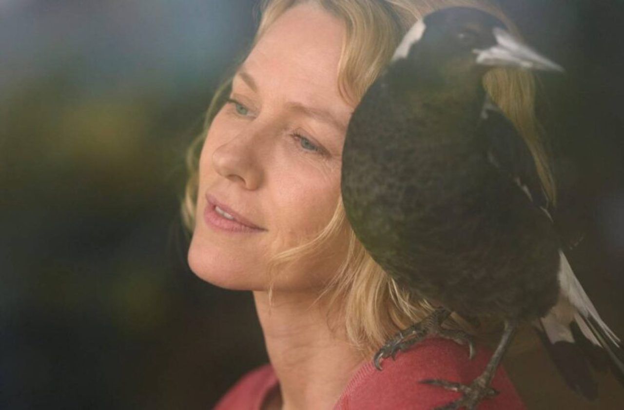 «Penguin Bloom» sur Netflix avec Naomi Watts : la pie s'envole, le film se crashe