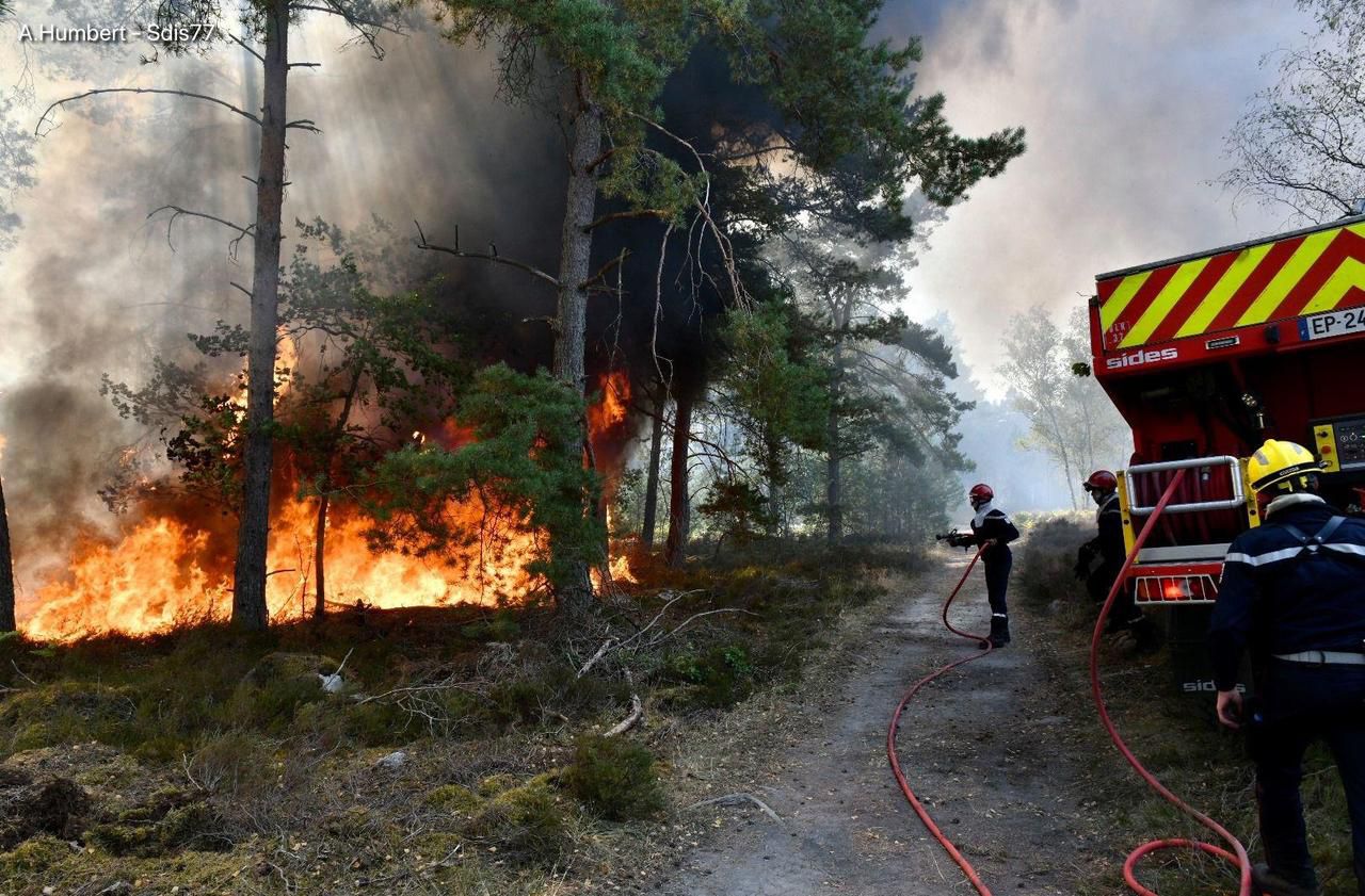 <b></b> Fontainebleau, le 7 août 2020. Une centaine de sapeurs-pompiers ont été mobilisés pour venir à bout de l’incendie qui s’est déclaré le 7 août en forêt de Fontainebleau.