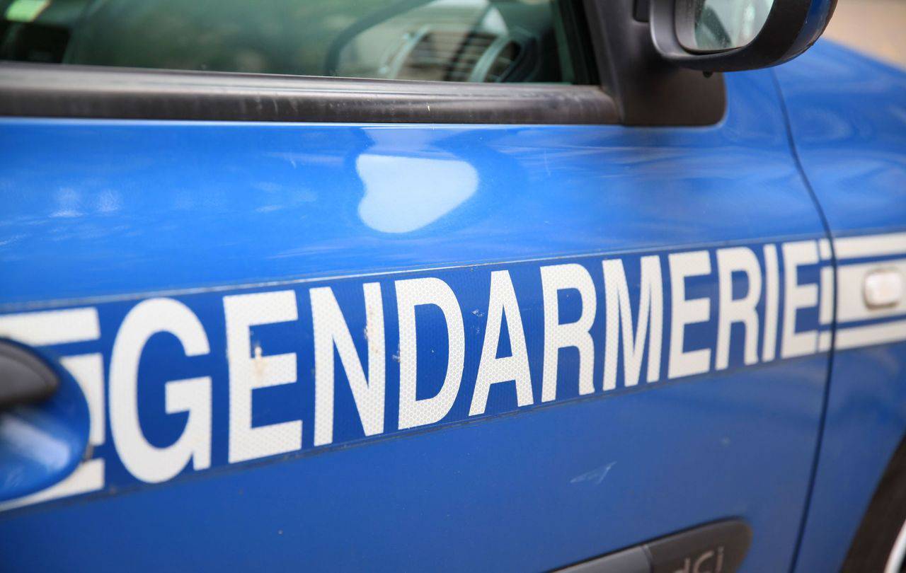 <b></b> Illustration. Les investigations sont menées par la brigade de recherches de la gendarmerie de Coulommiers. 