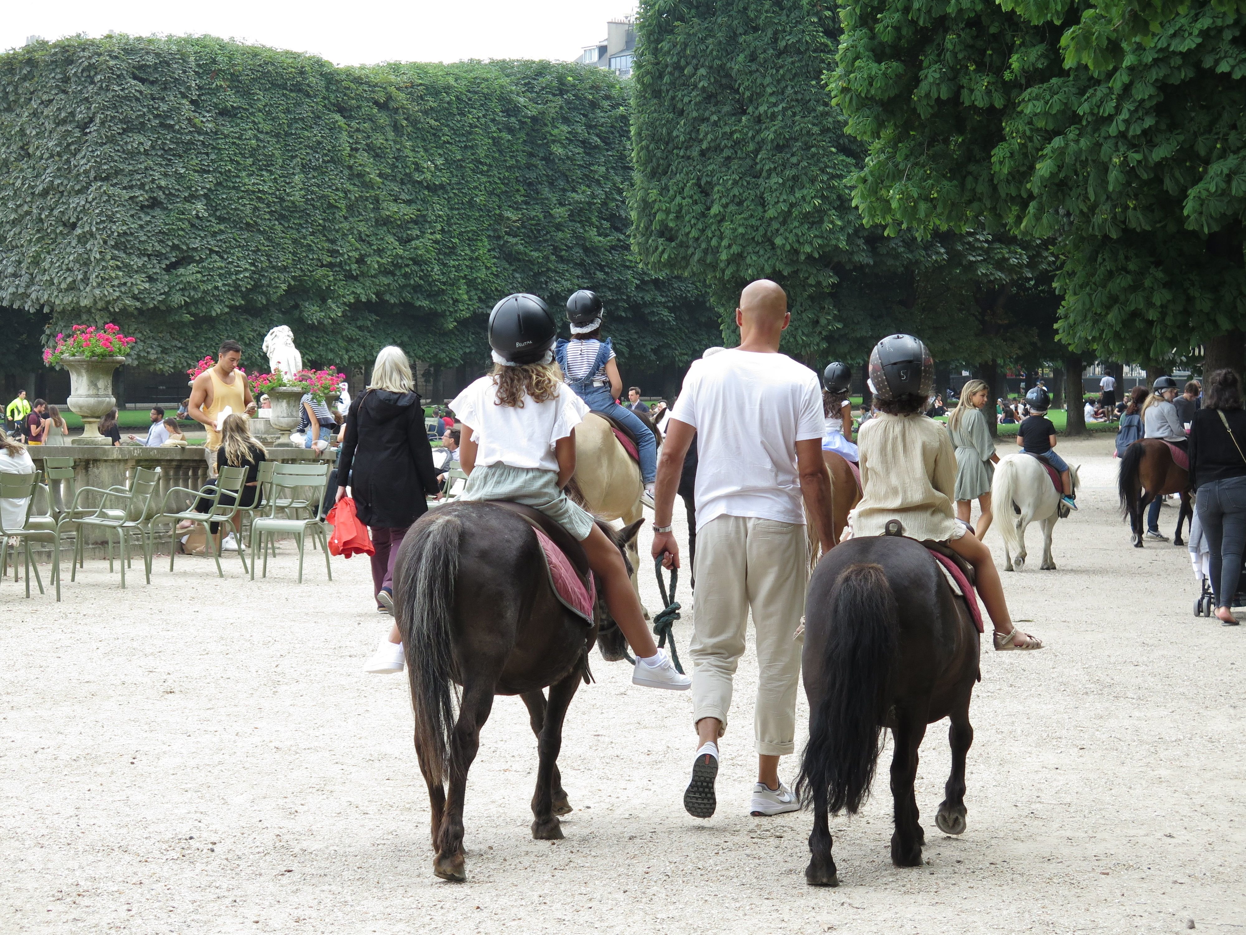Si la question du maintien des poneys au jardin du Luxembourg, propriété du Sénat, n'est pas encore tranchée, la décision est prise pour les parcs municipaux : les promenades équestres n'existeront plus à l'horizon 2025. (Illustration) LP/CélineCarez