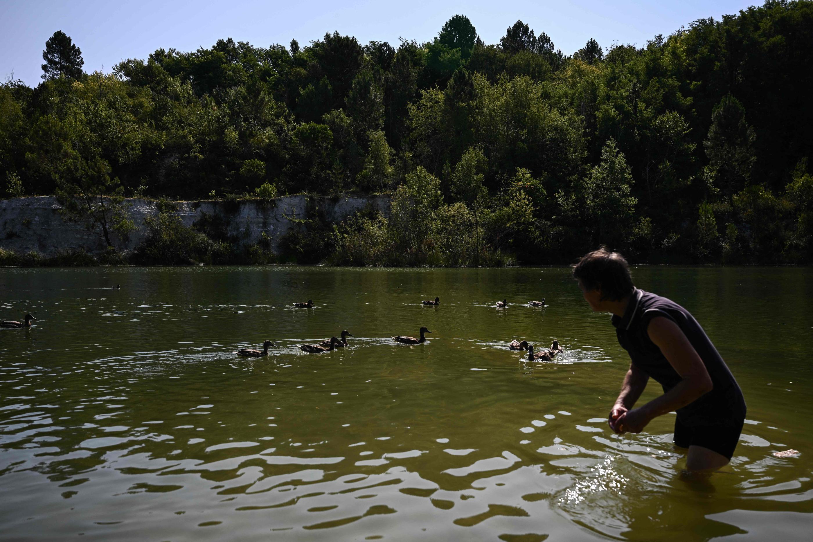 La baignade dans l’étang de l’Ermitage, ancienne carrière de pierre désaffectée dans les années 1980 à Lormont en Gironde, est strictement interdite. AFP/Philippe Lopez.